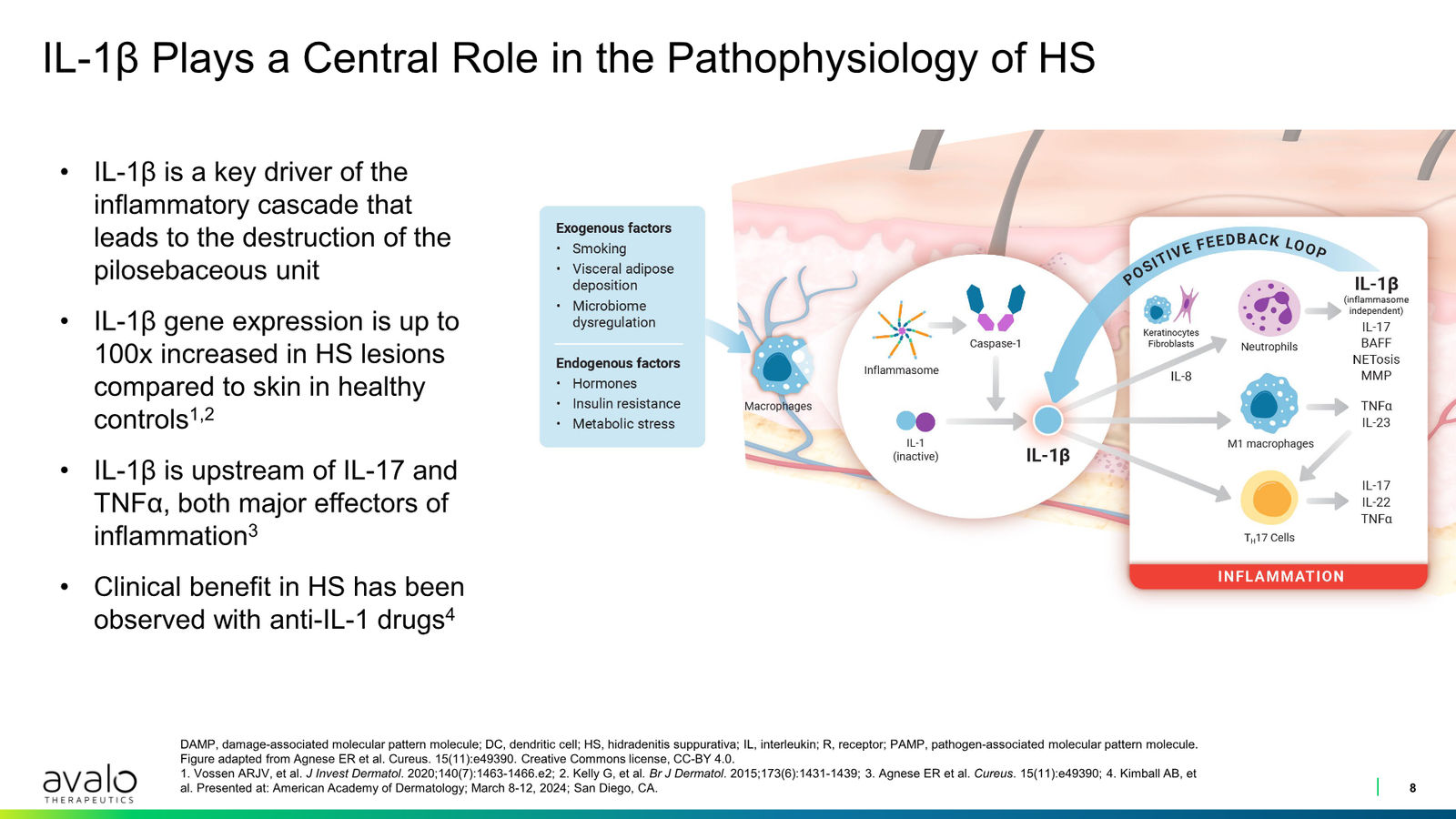 Avalo Corporate Presentation March 2026 — slide 8 of 21