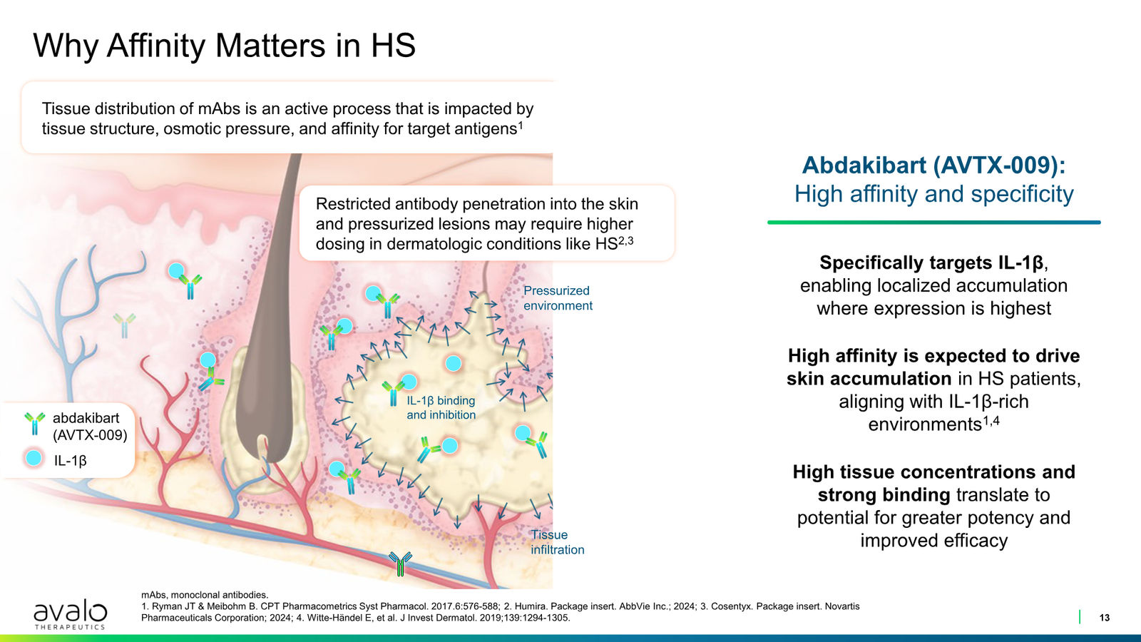 Avalo Corporate Presentation March 2026 — slide 13 of 21