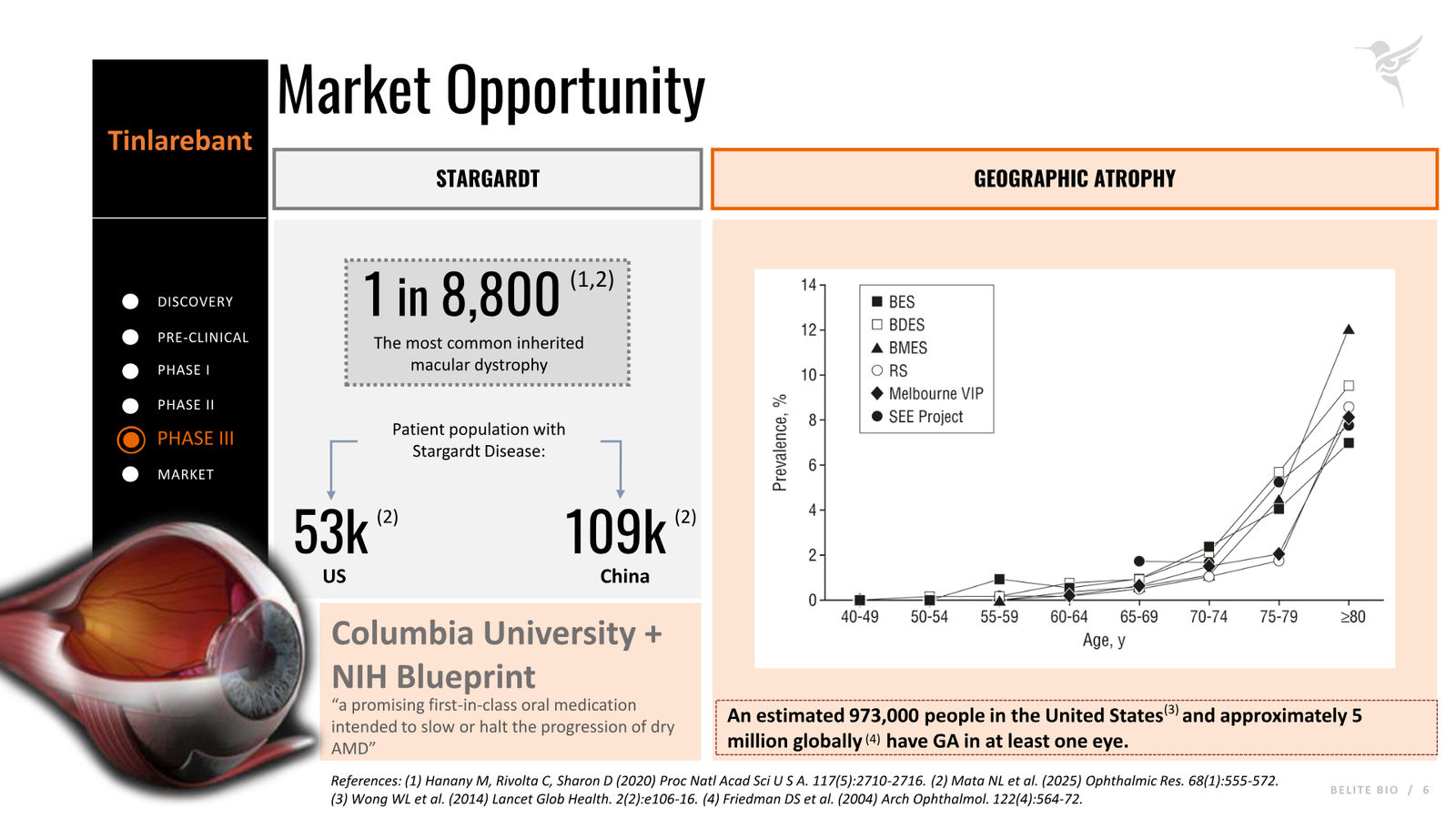 Belite Bio Corporate Presentation — April 2026 — slide 6 of 32