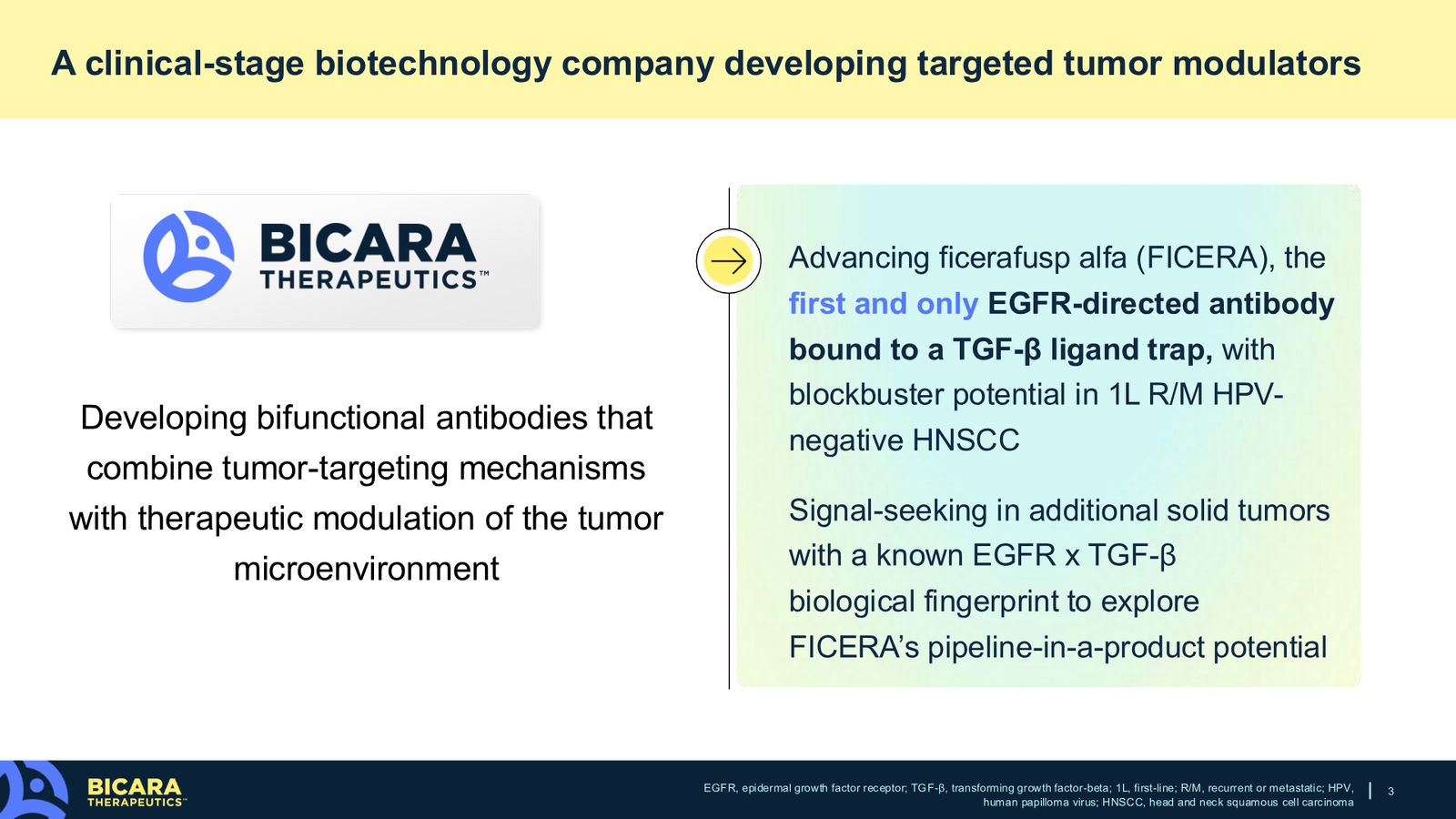 Bicara Therapeutics Corporate Presentation — slide 3 of 36