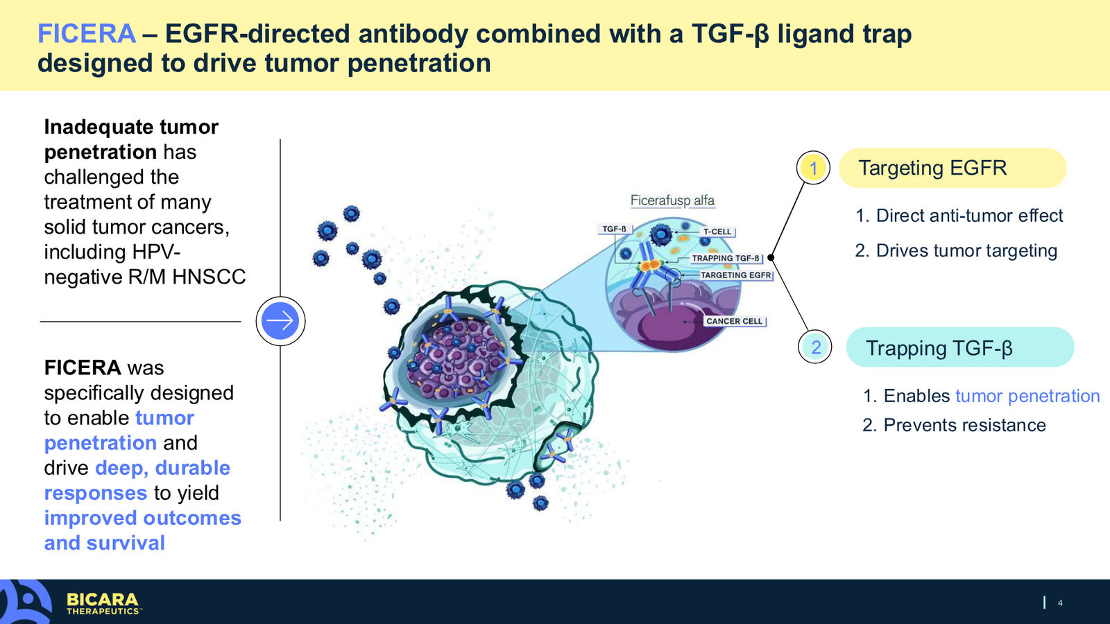 Bicara Therapeutics Corporate Presentation — slide 4 of 36