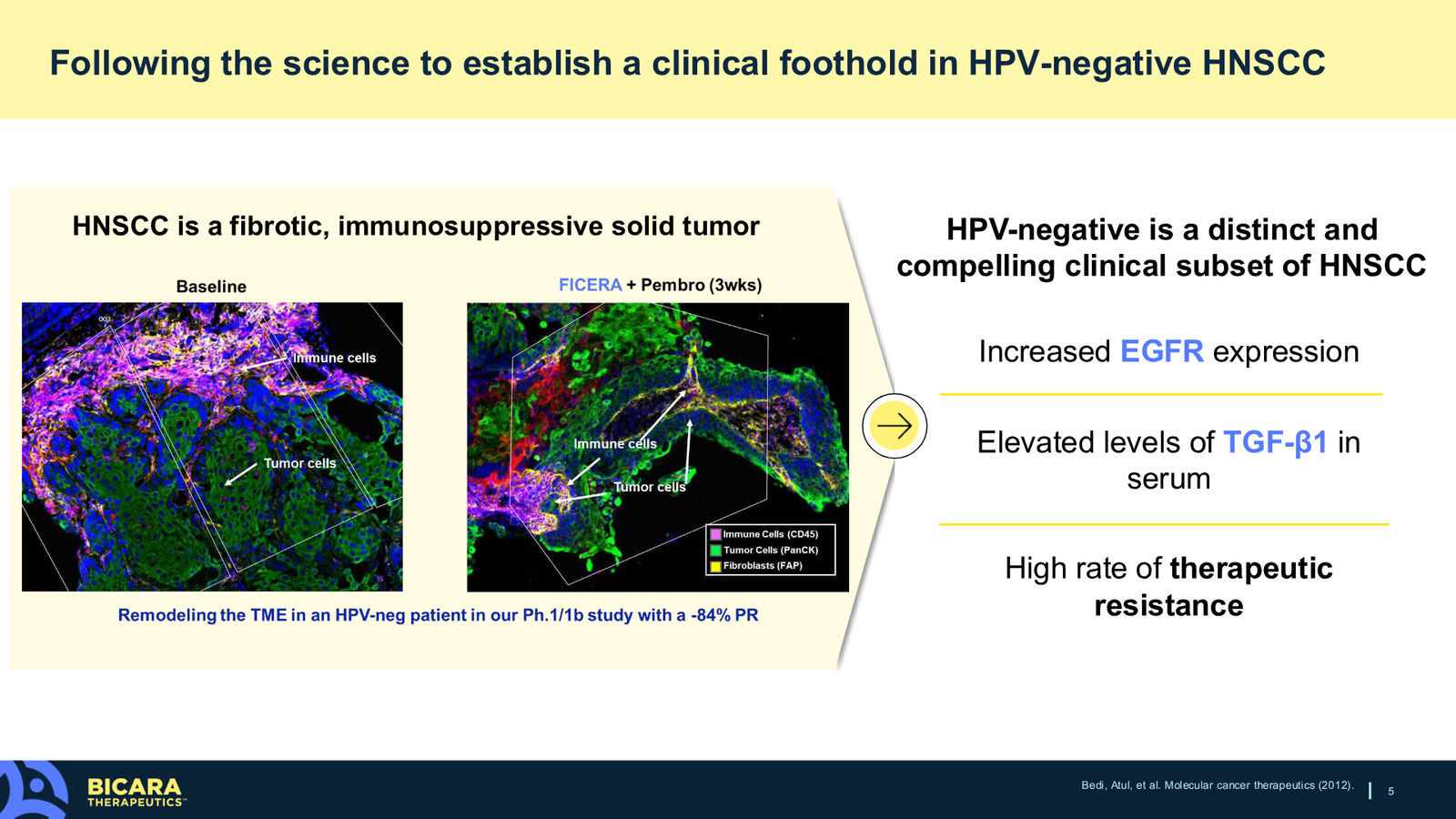 Bicara Therapeutics Corporate Presentation — slide 5 of 36