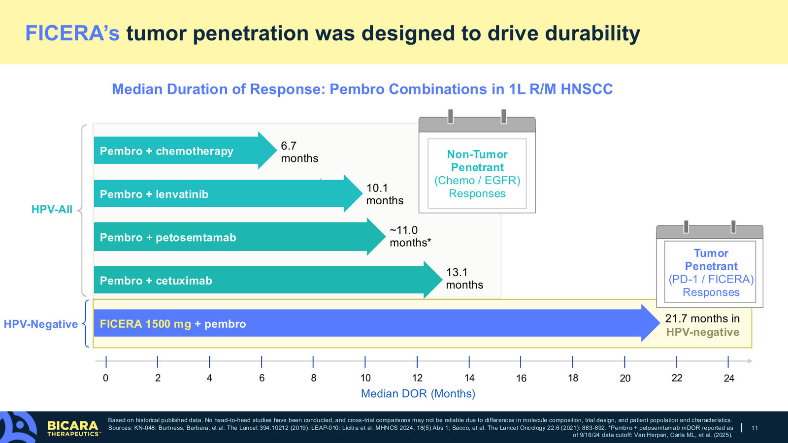 Bicara Therapeutics Corporate Presentation — slide 11 of 36