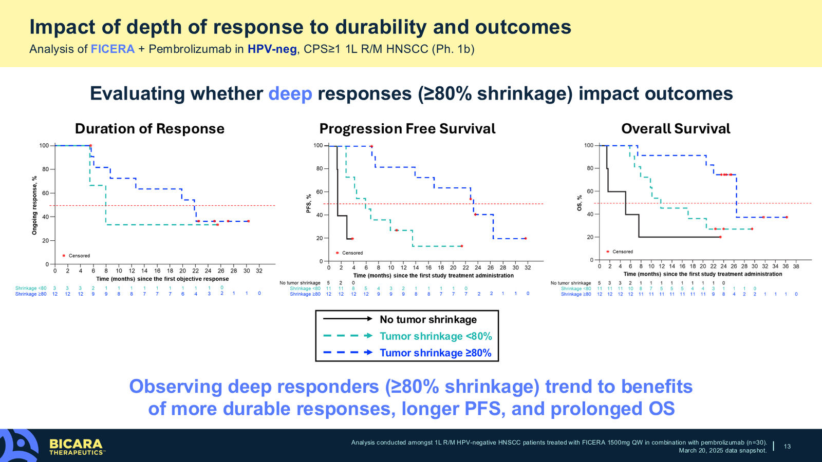 Bicara Therapeutics Corporate Presentation — slide 13 of 36