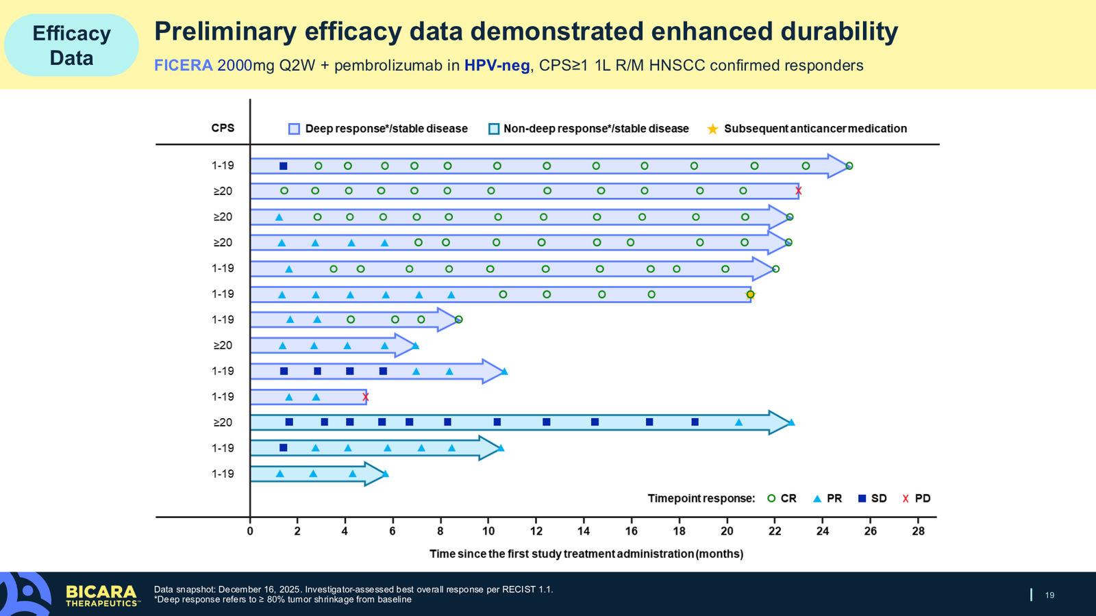 Bicara Therapeutics Corporate Presentation — slide 19 of 36