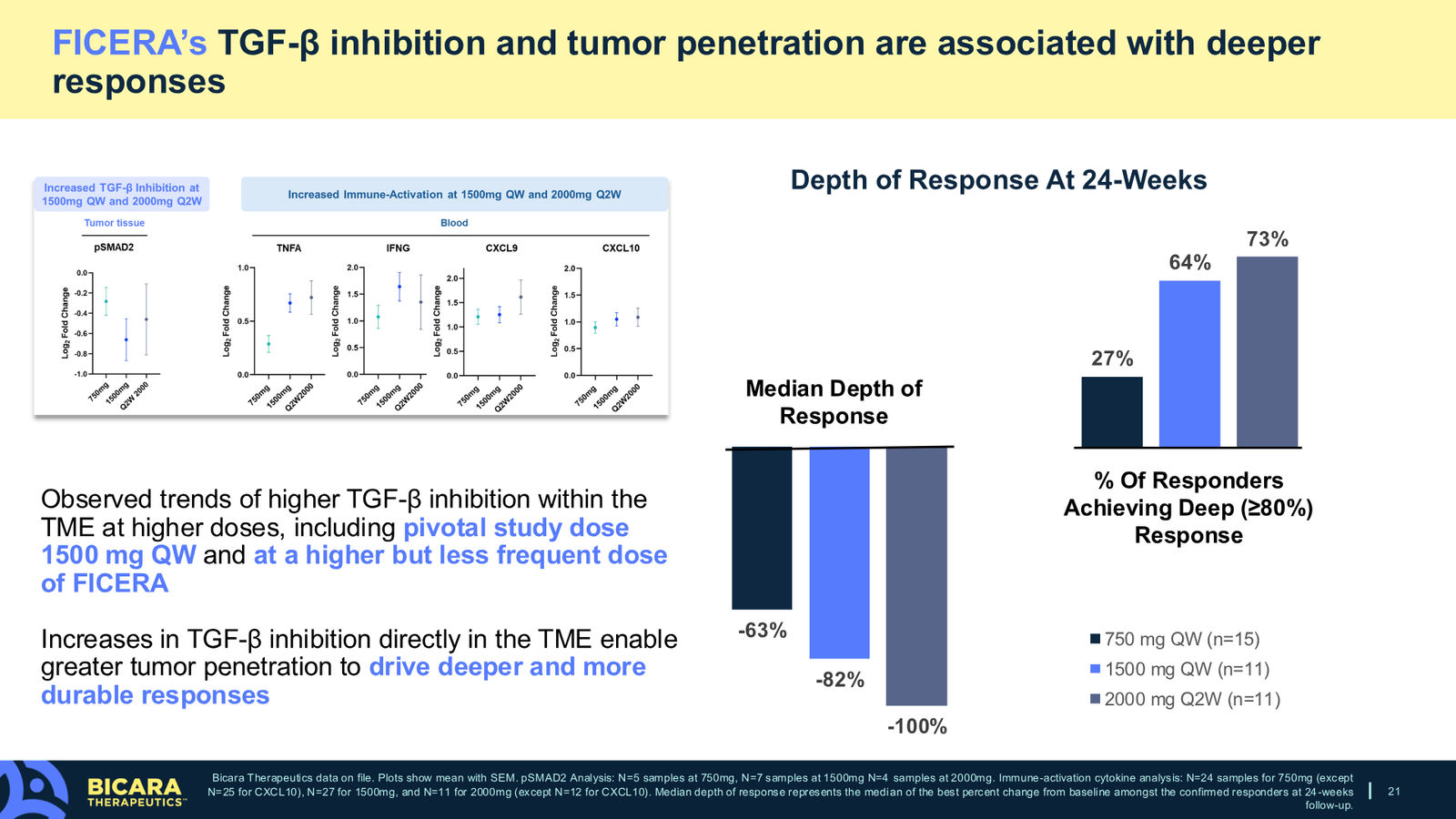 Bicara Therapeutics Corporate Presentation — slide 21 of 36