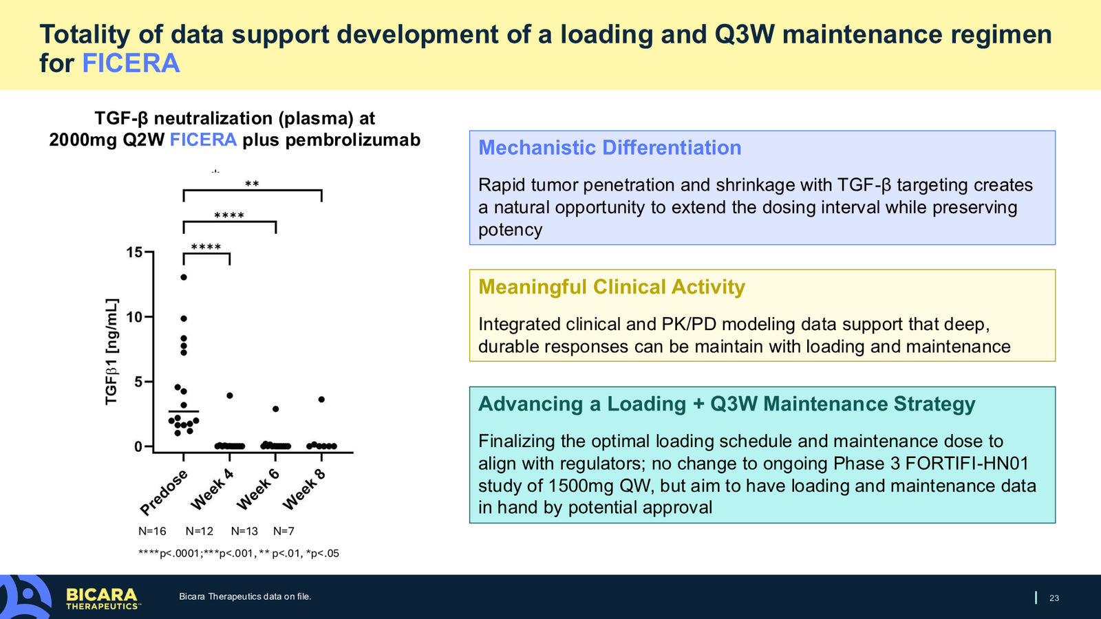 Bicara Therapeutics Corporate Presentation — slide 23 of 36