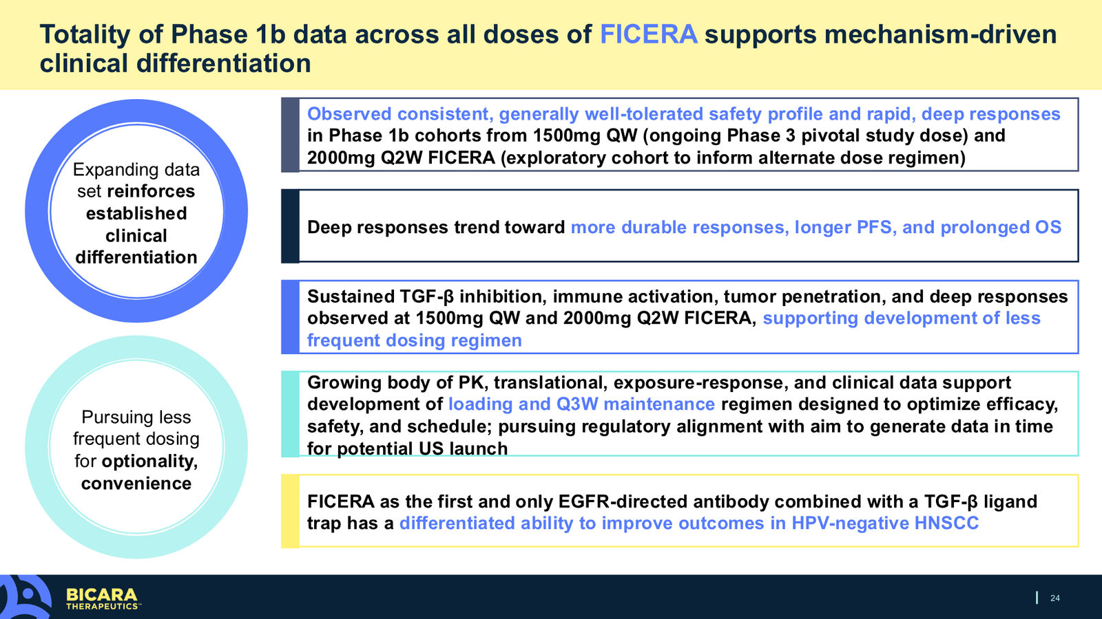 Bicara Therapeutics Corporate Presentation — slide 24 of 36