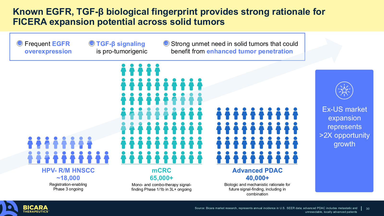 Bicara Therapeutics Corporate Presentation — slide 30 of 36