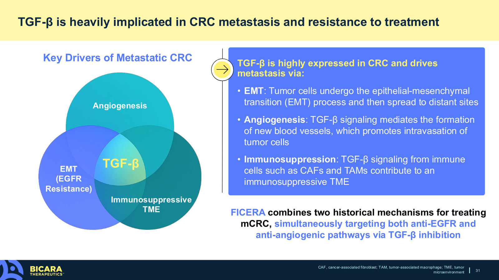 Bicara Therapeutics Corporate Presentation — slide 31 of 36
