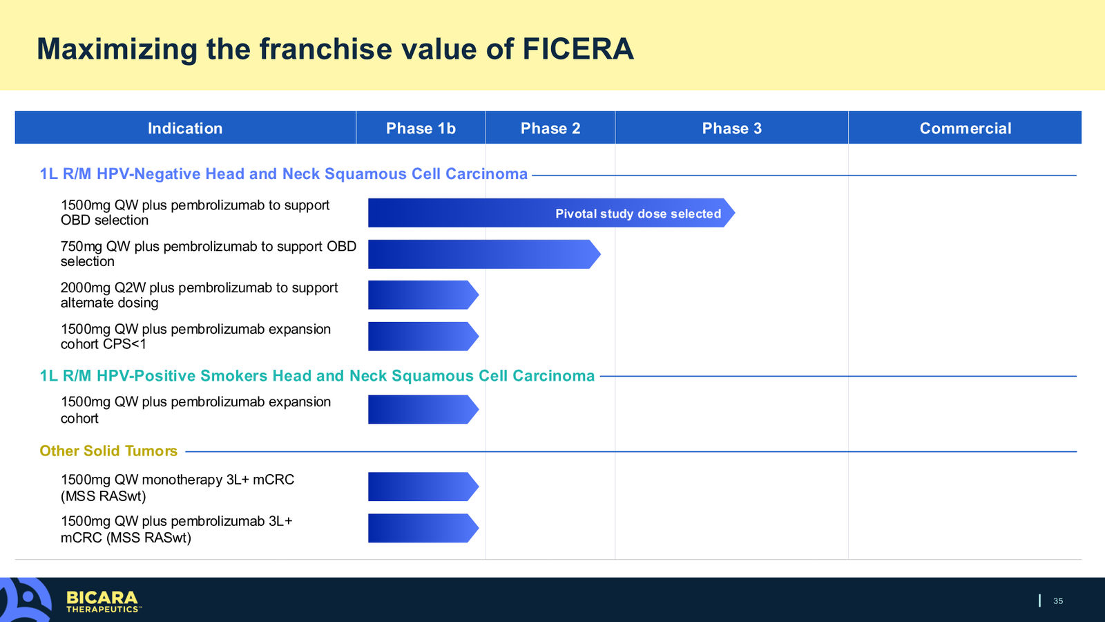 Bicara Therapeutics Corporate Presentation — slide 35 of 36