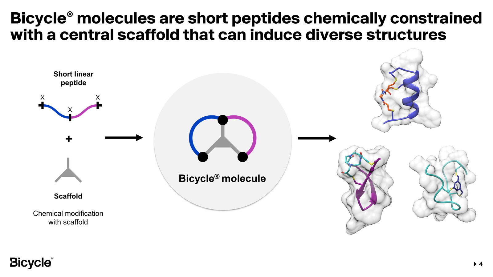 Bicycle Therapeutics Corporate Presentation — slide 4 of 53