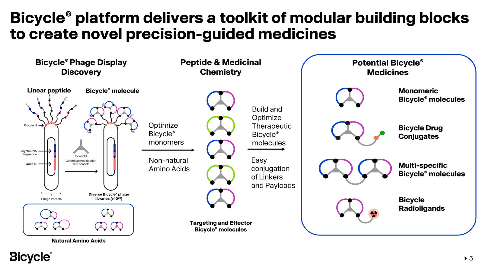 Bicycle Therapeutics Corporate Presentation — slide 5 of 53
