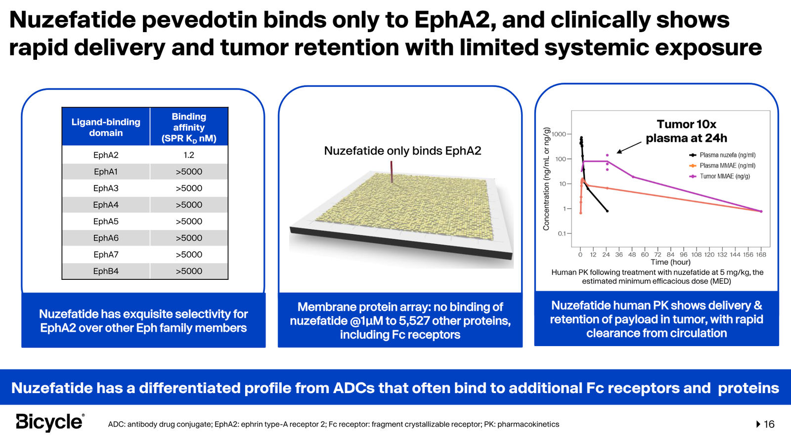 Bicycle Therapeutics Corporate Presentation — slide 16 of 53