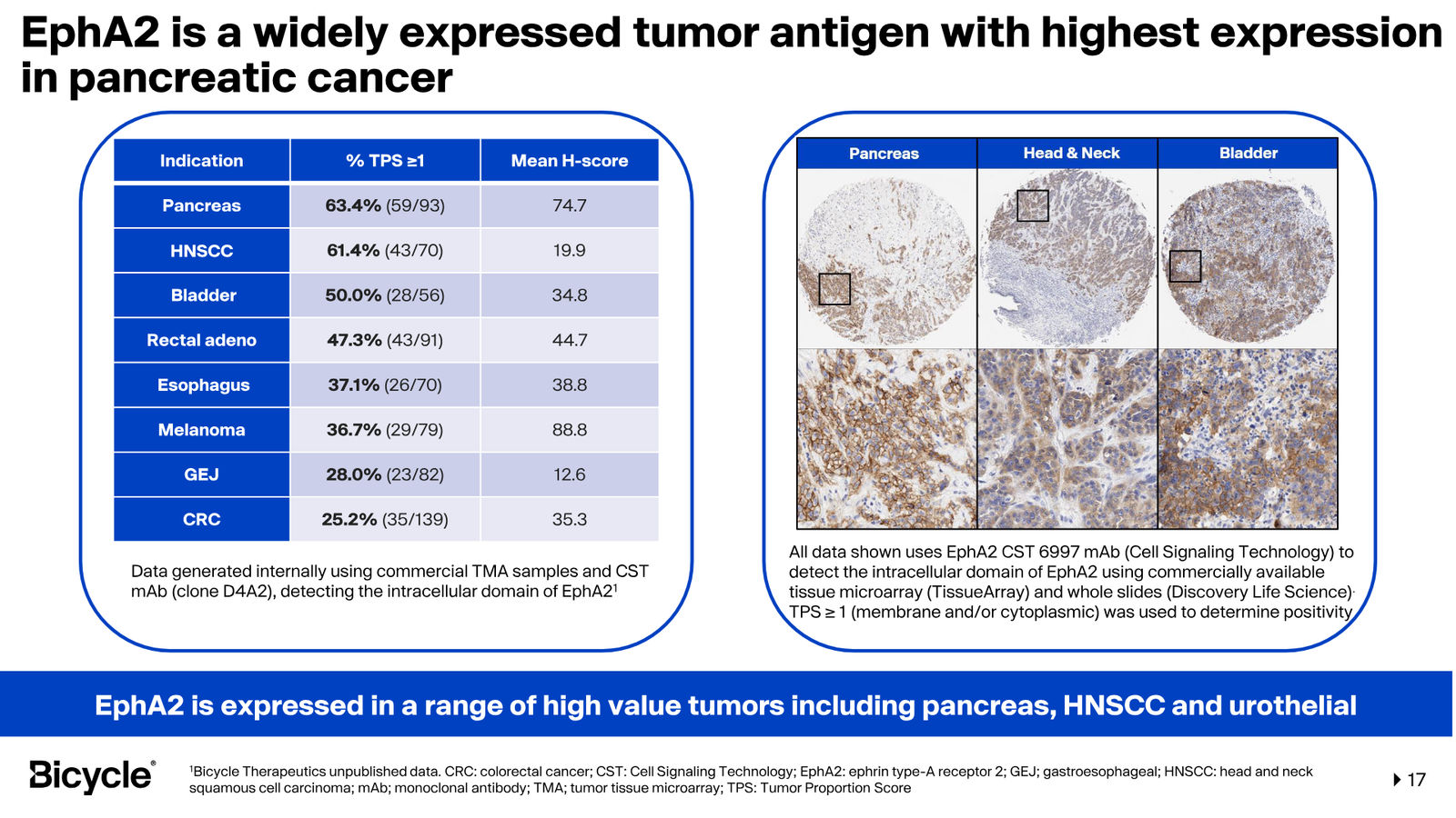 Bicycle Therapeutics Corporate Presentation — slide 17 of 53
