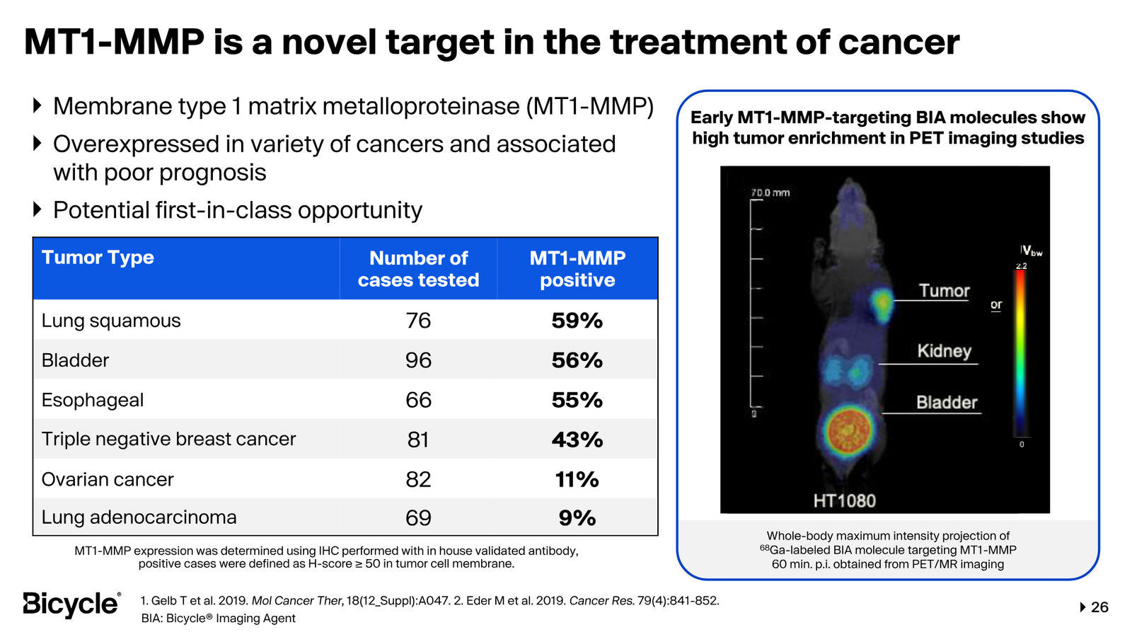 Bicycle Therapeutics Corporate Presentation — slide 26 of 53