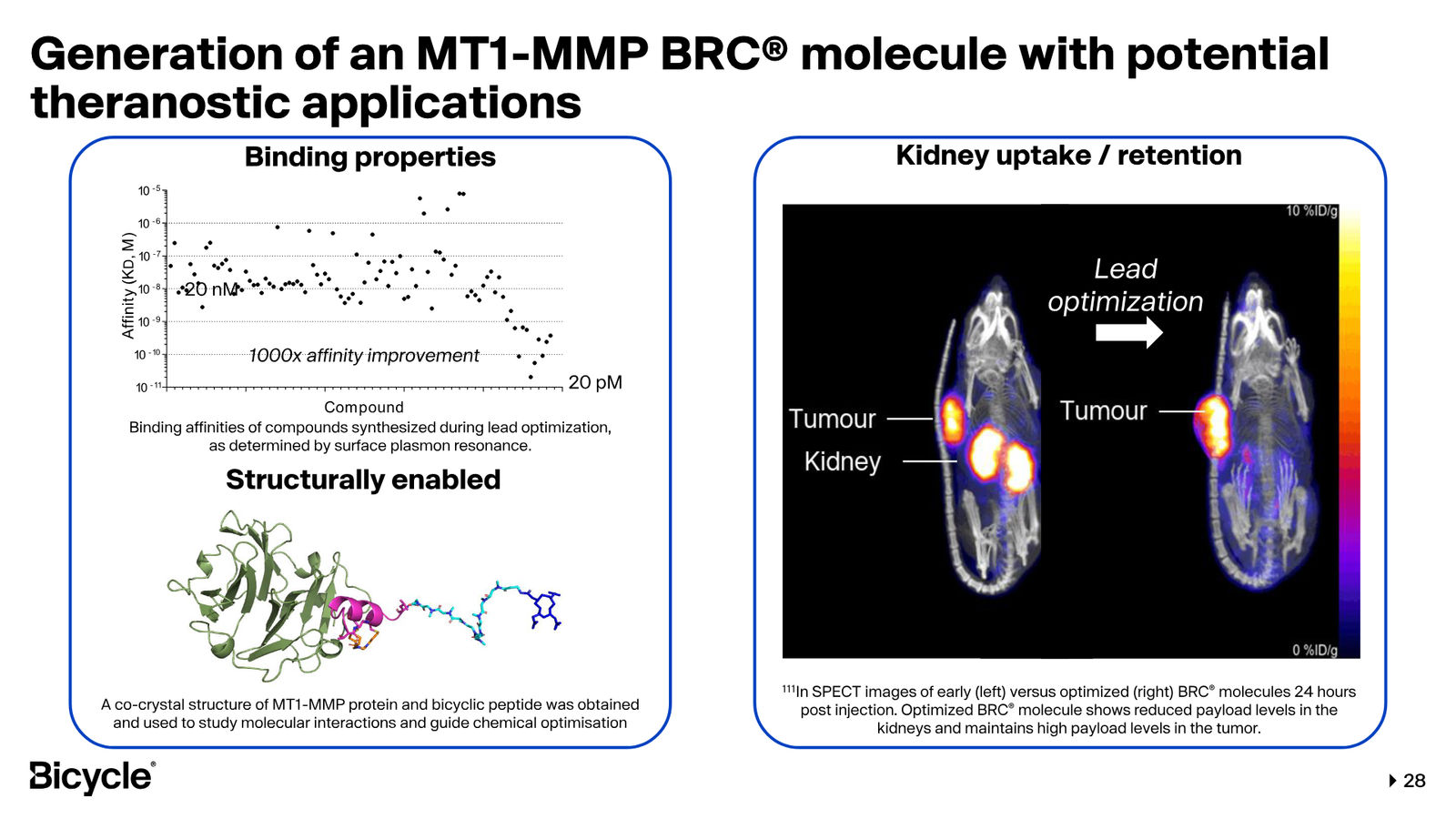 Bicycle Therapeutics Corporate Presentation — slide 28 of 53
