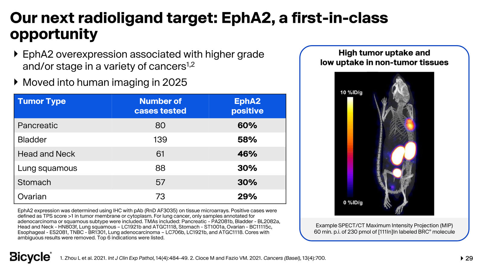 Bicycle Therapeutics Corporate Presentation — slide 29 of 53