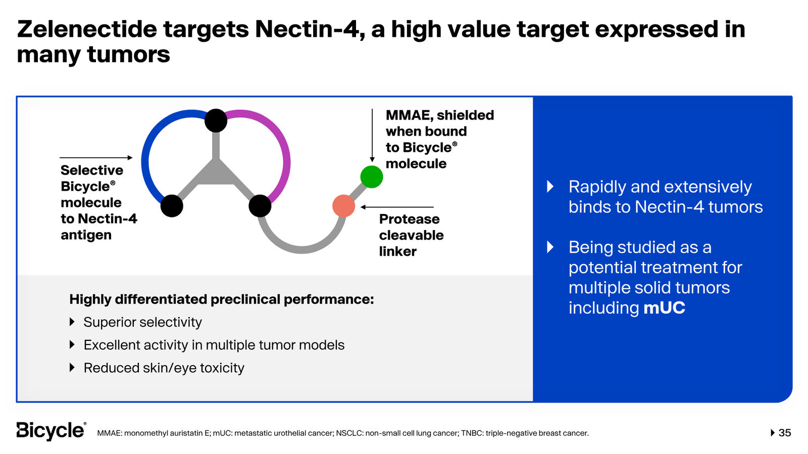 Bicycle Therapeutics Corporate Presentation — slide 35 of 53