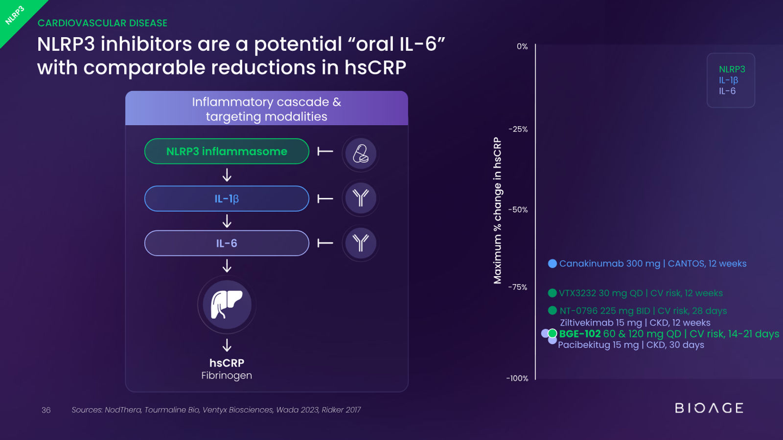 BioAge Labs Corporate Presentation — slide 36 of 62