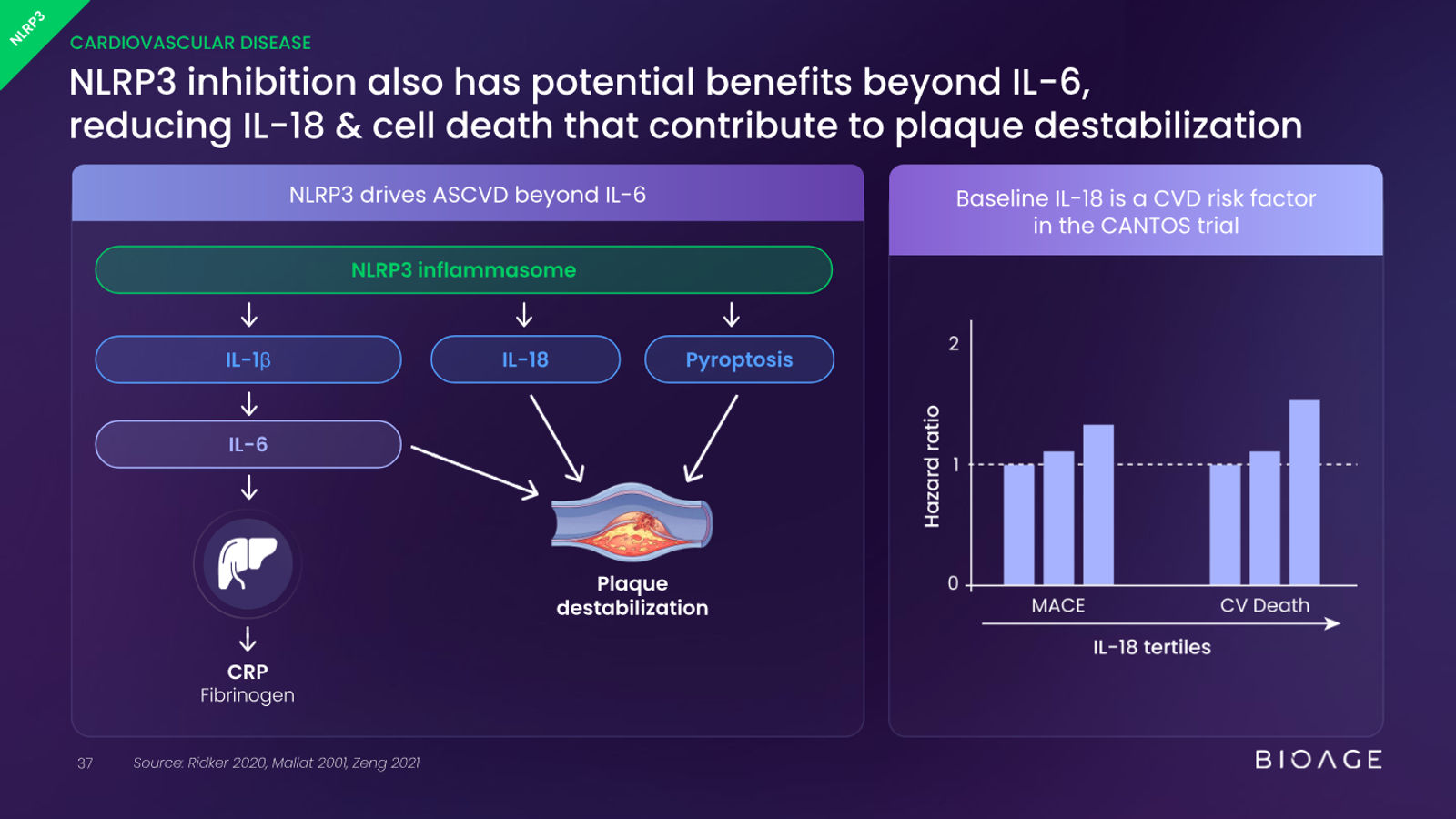 BioAge Labs Corporate Presentation — slide 37 of 62