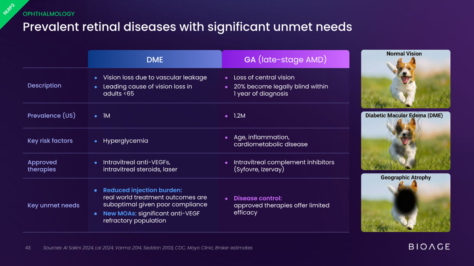 BioAge Labs Corporate Presentation — slide 43 of 62