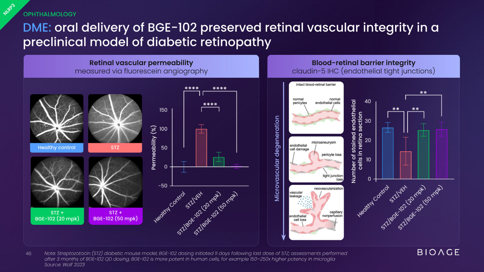 BioAge Labs Corporate Presentation — slide 46 of 62