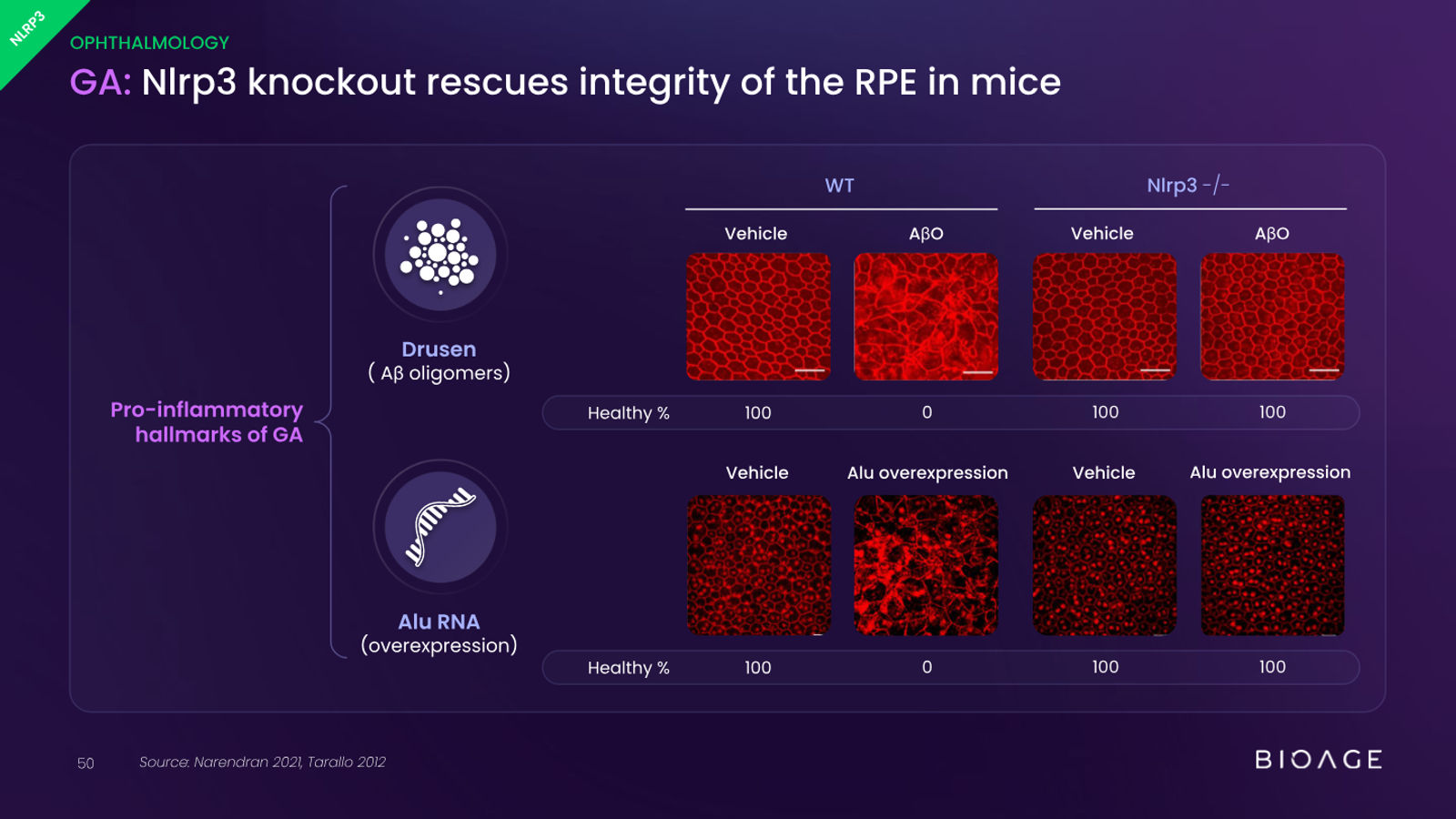 BioAge Labs Corporate Presentation — slide 50 of 62