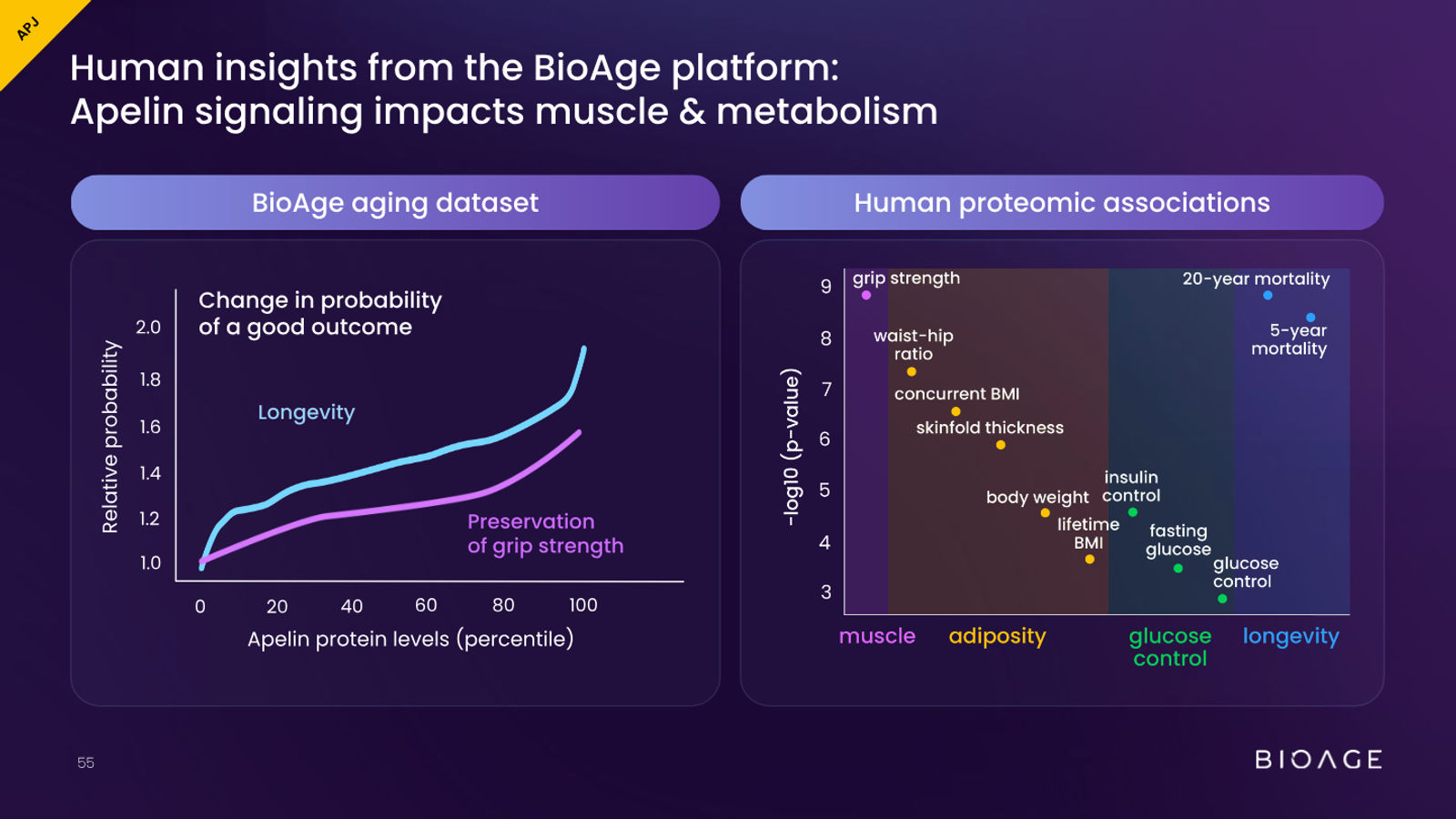 BioAge Labs Corporate Presentation — slide 55 of 62