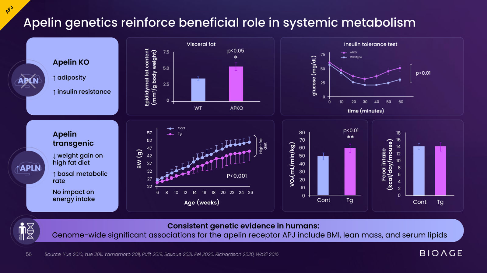 BioAge Labs Corporate Presentation — slide 56 of 62
