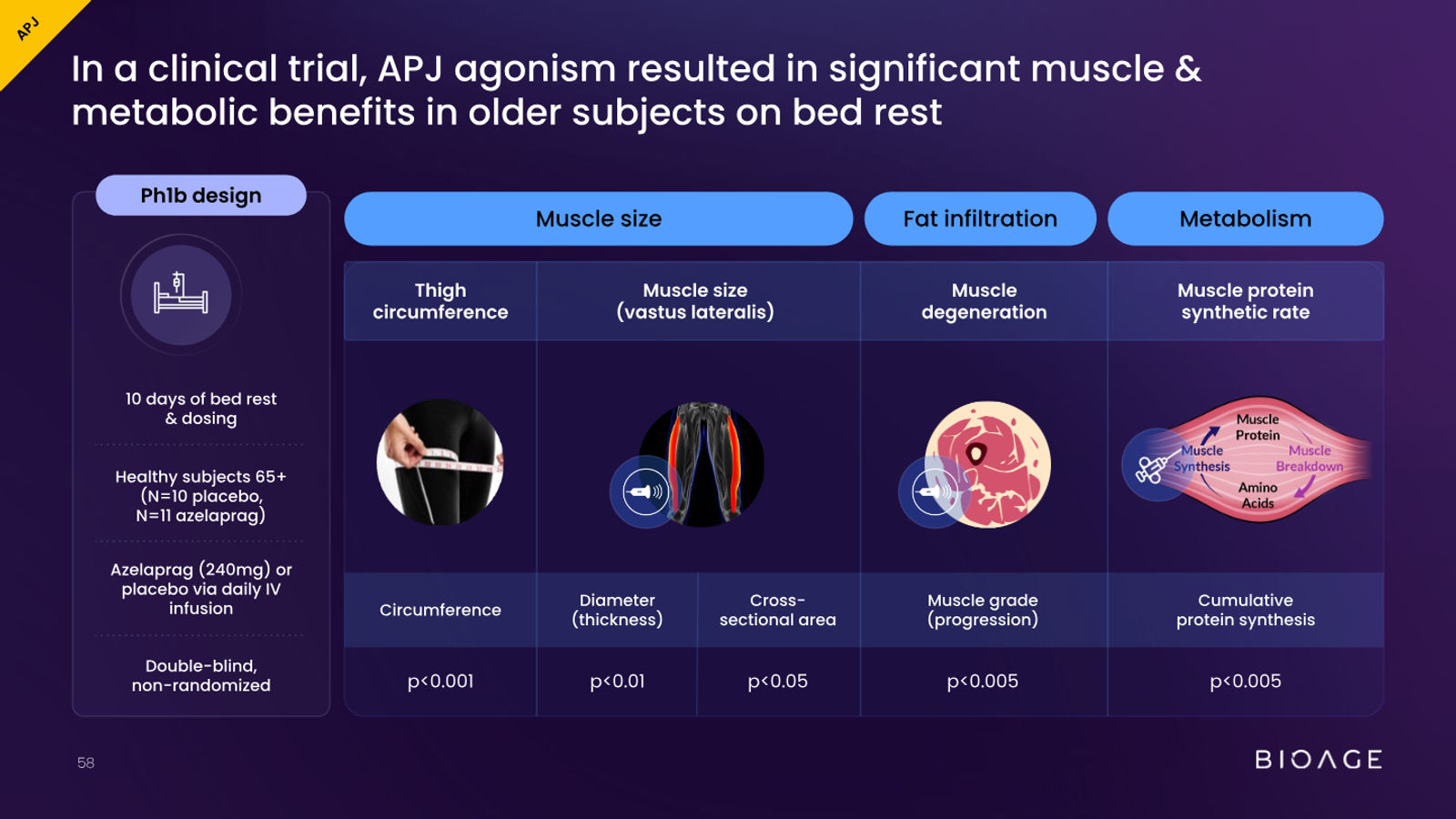 BioAge Labs Corporate Presentation — slide 58 of 62
