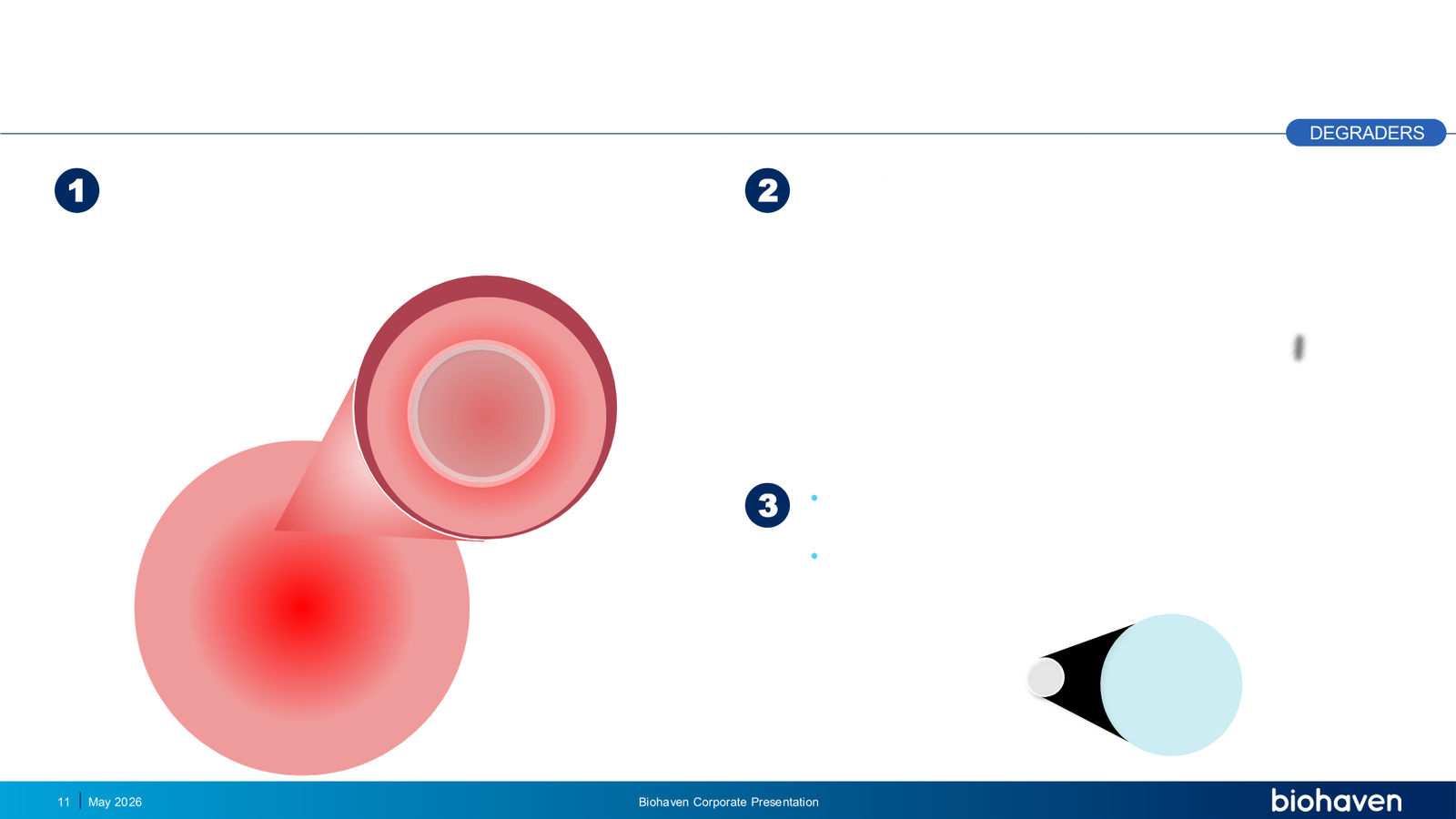 Biohaven Corporate Presentation January 2026 — slide 11 of 87