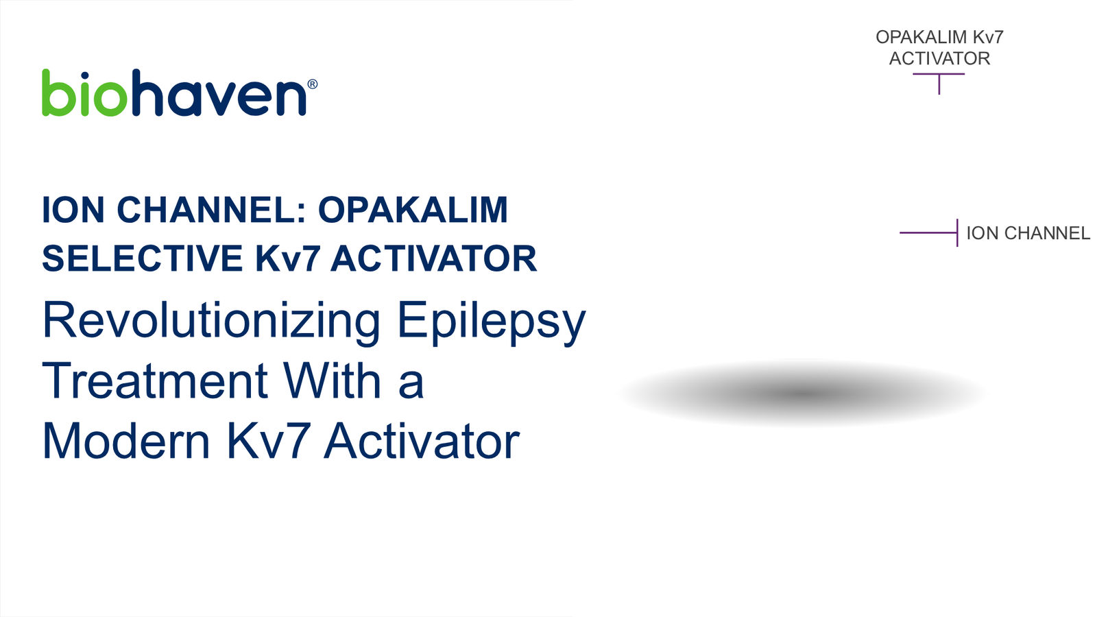 Biohaven Corporate Presentation January 2026 — slide 32 of 87
