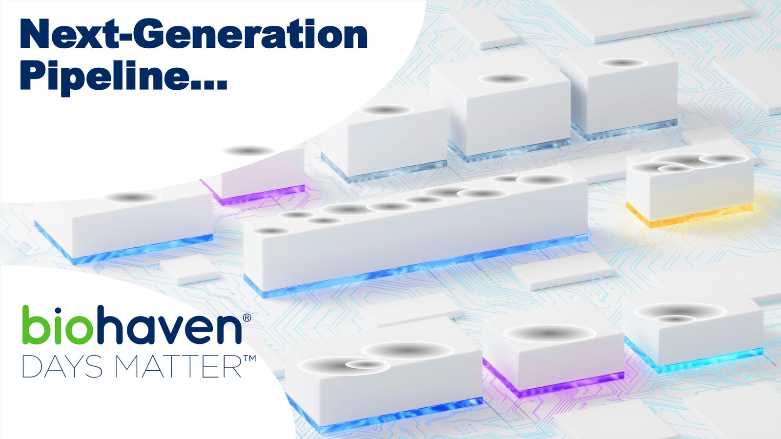 Biohaven Corporate Presentation January 2026 — slide 84 of 87