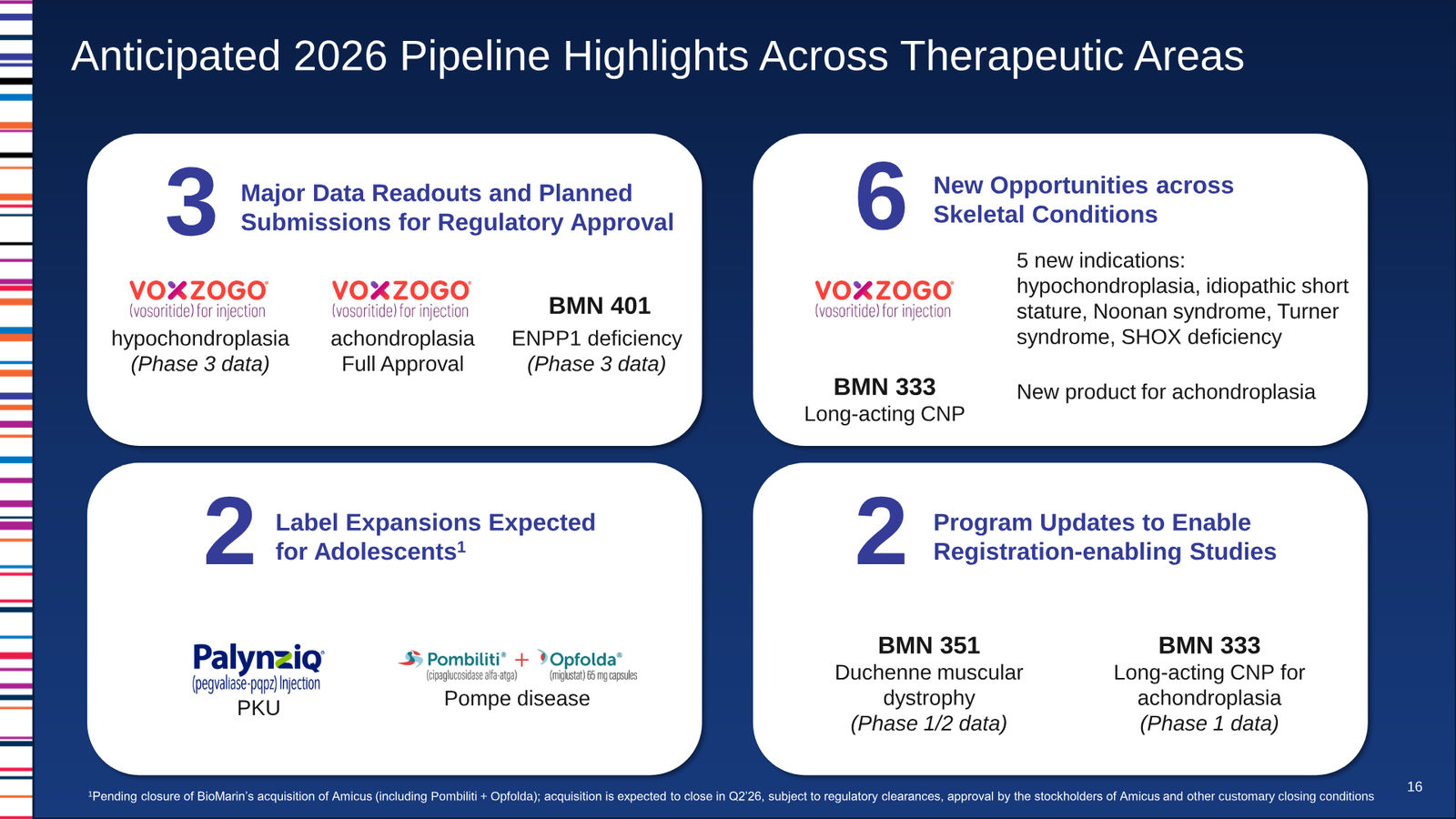 BioMarin Q4 2025 Earnings Presentation — slide 16 of 22
