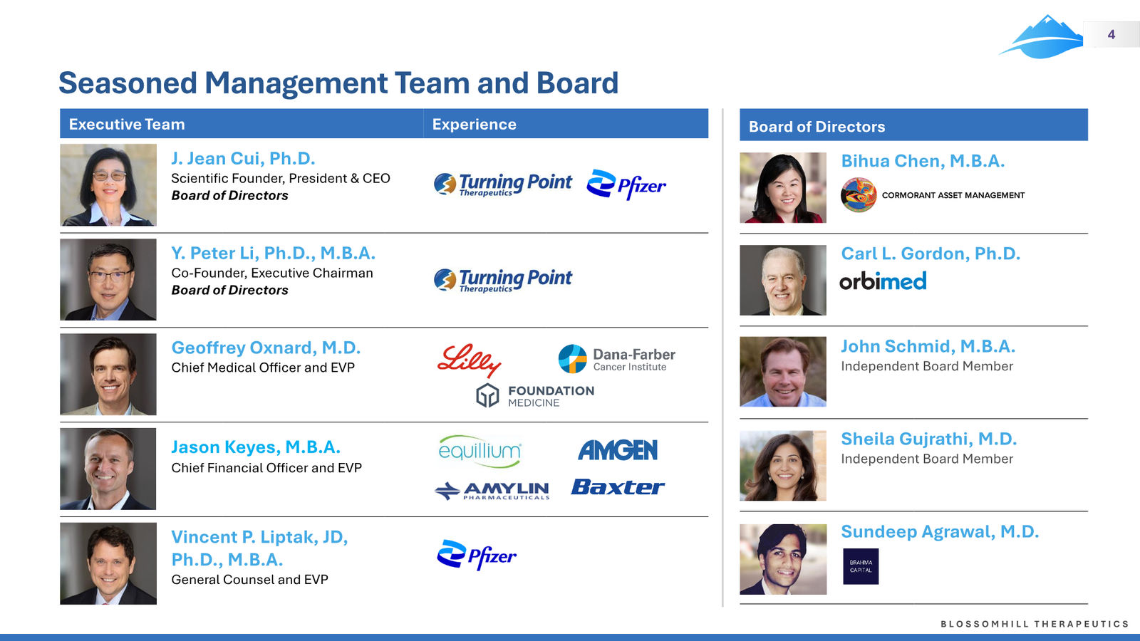 BlossomHill Corporate Presentation — slide 4 of 37