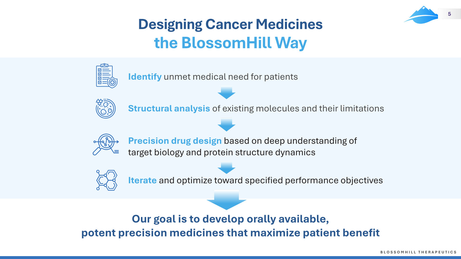 BlossomHill Corporate Presentation — slide 5 of 37