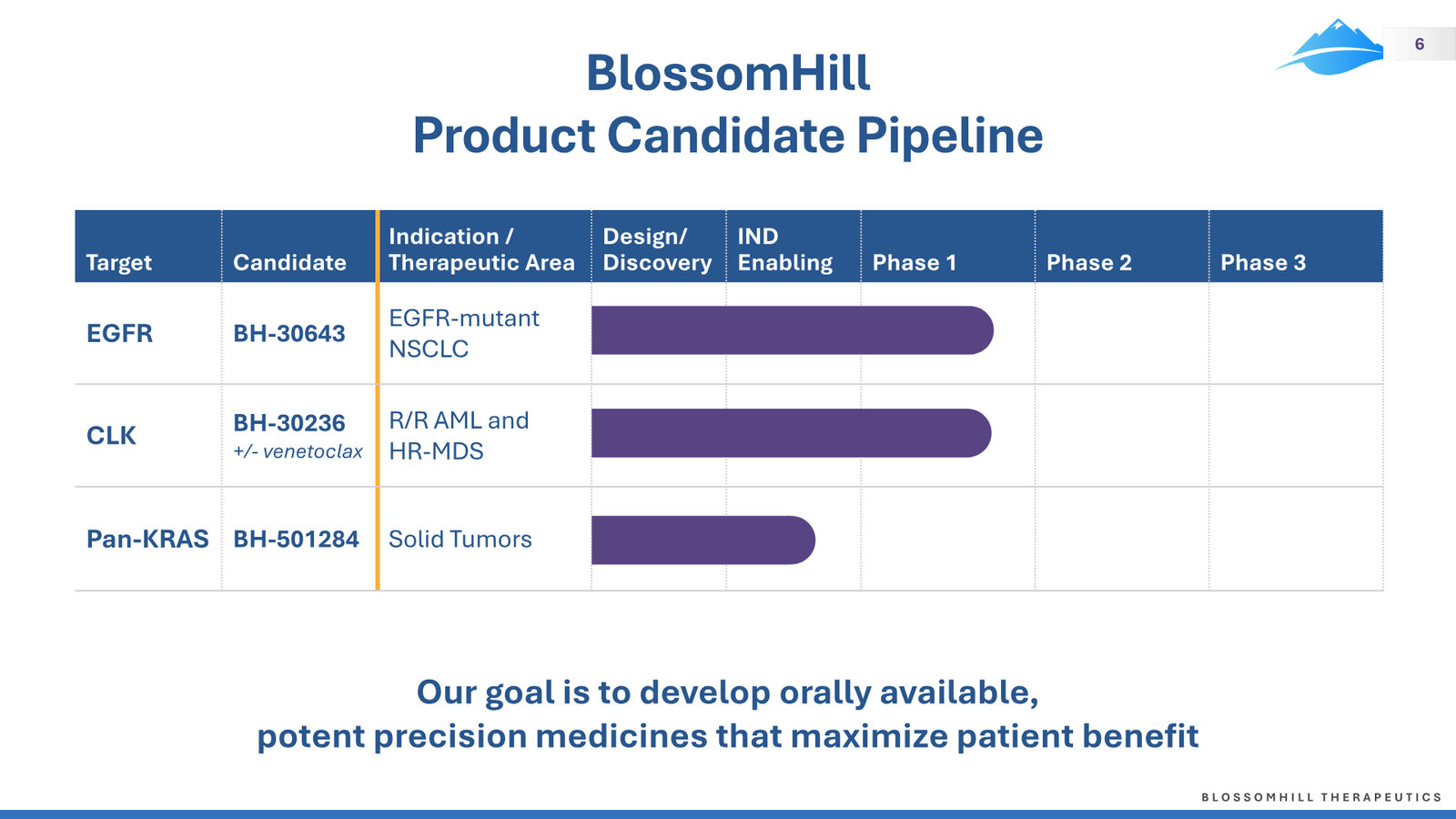 BlossomHill Corporate Presentation — slide 6 of 37