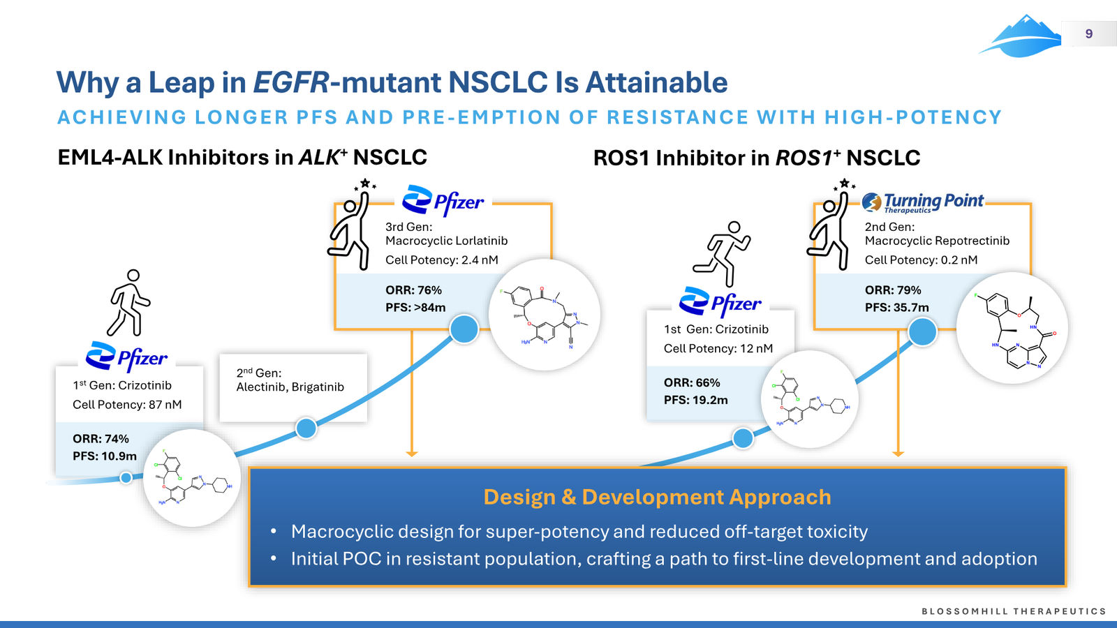BlossomHill Corporate Presentation — slide 9 of 37