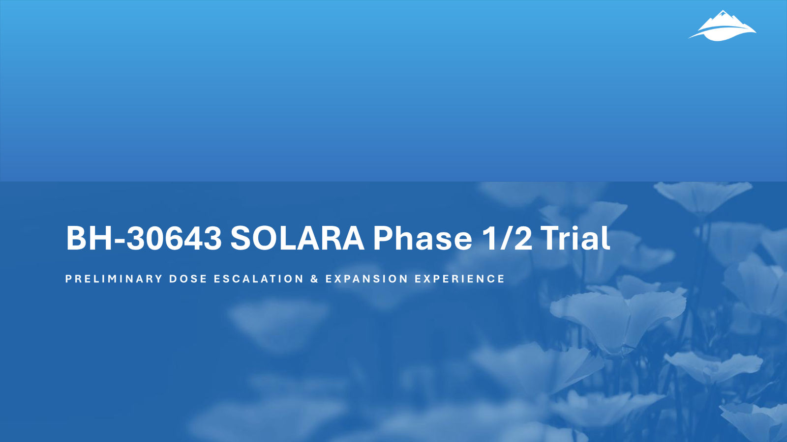 BlossomHill Corporate Presentation — slide 12 of 37