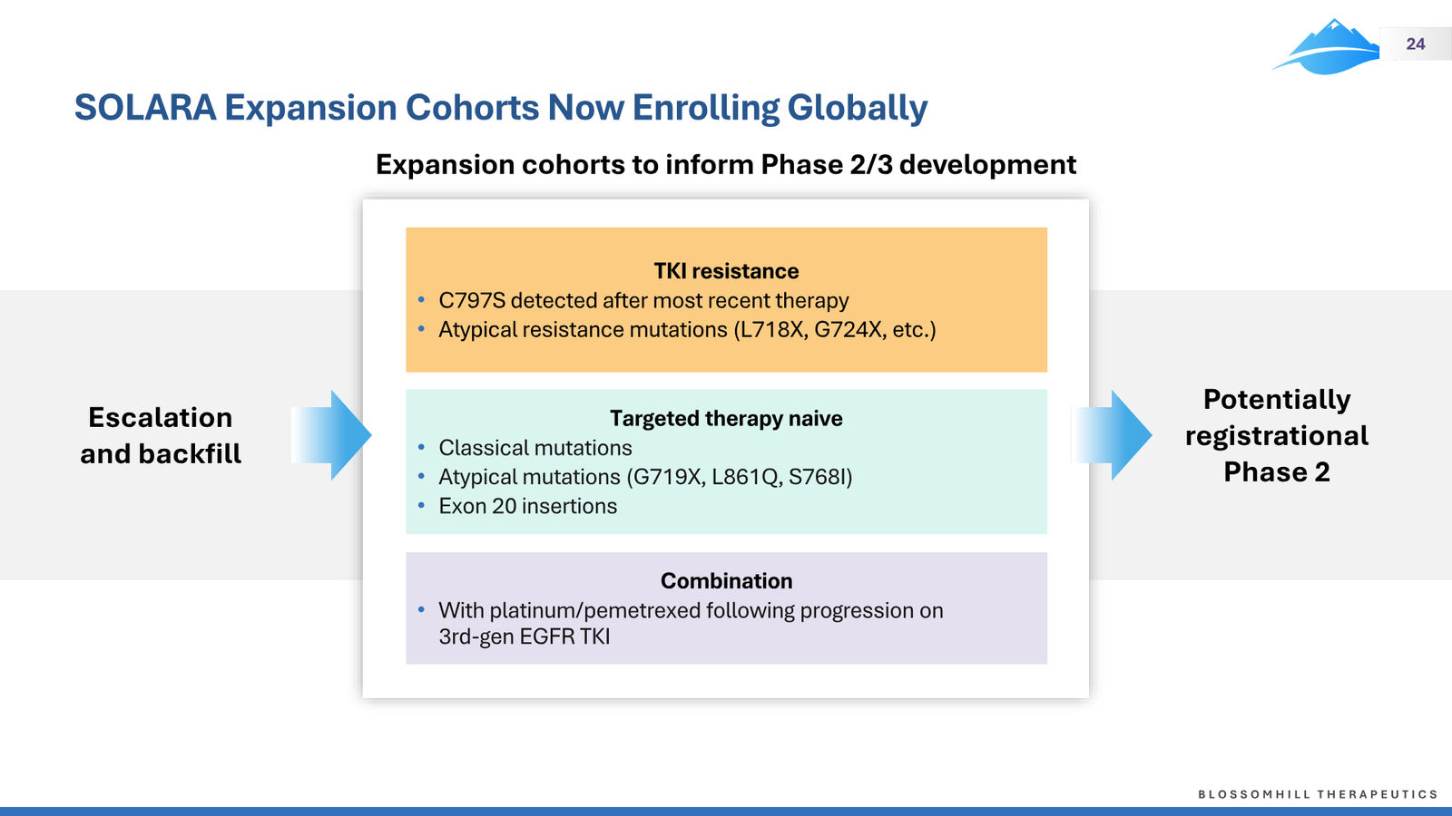 BlossomHill Corporate Presentation — slide 24 of 37