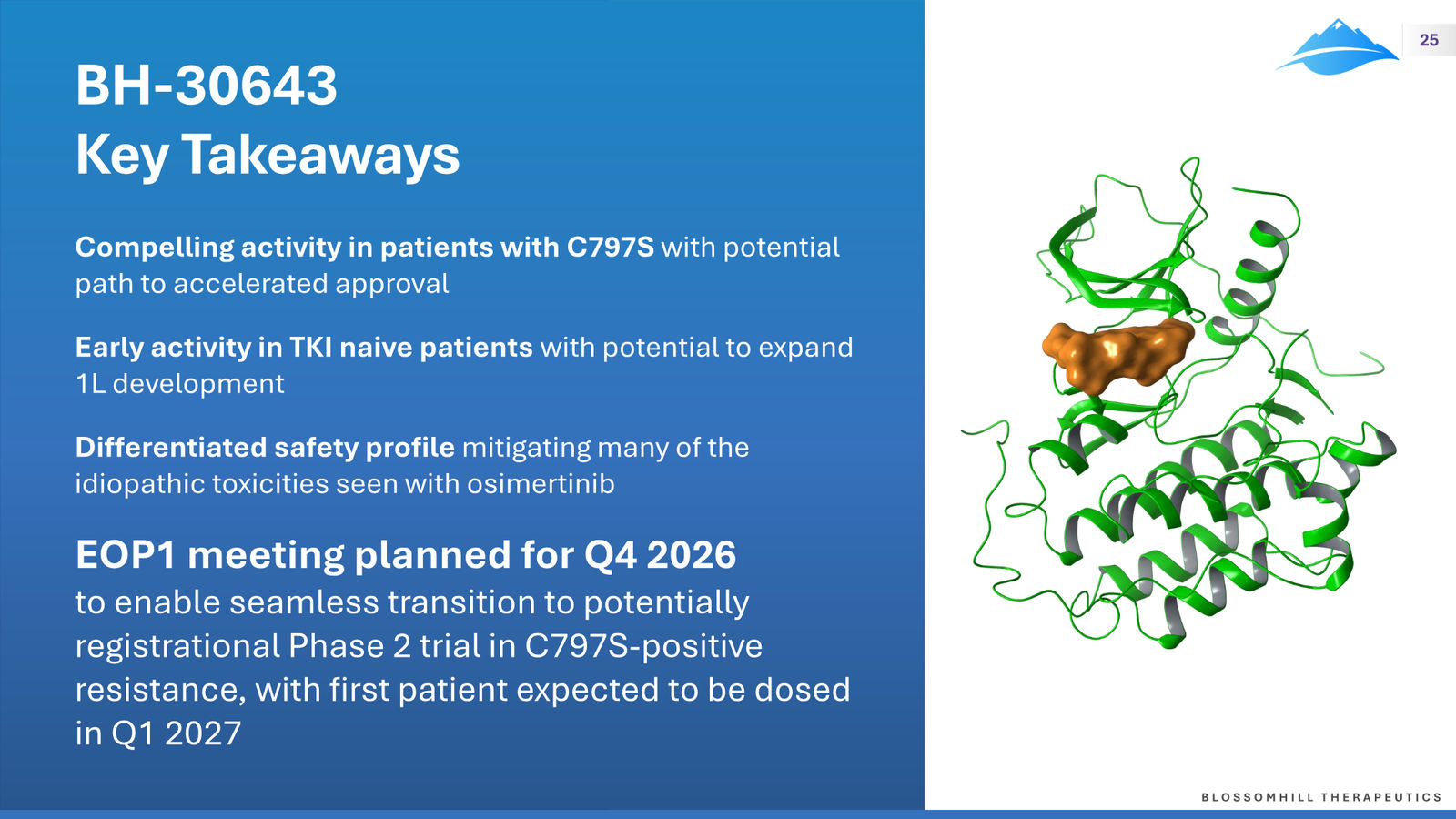 BlossomHill Corporate Presentation — slide 25 of 37