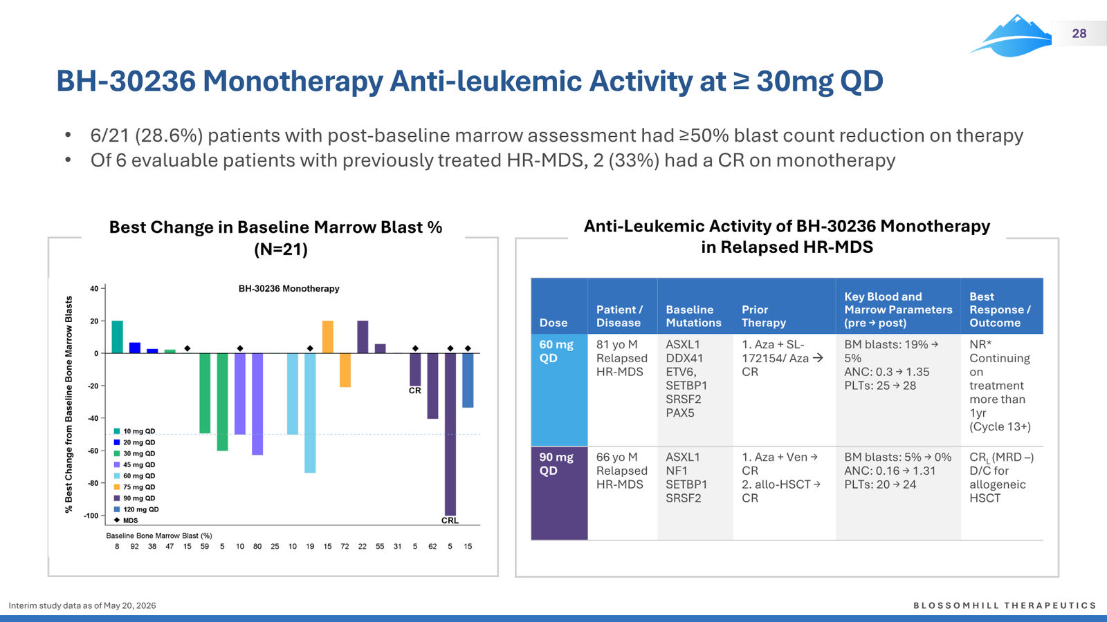 BlossomHill Corporate Presentation — slide 28 of 37
