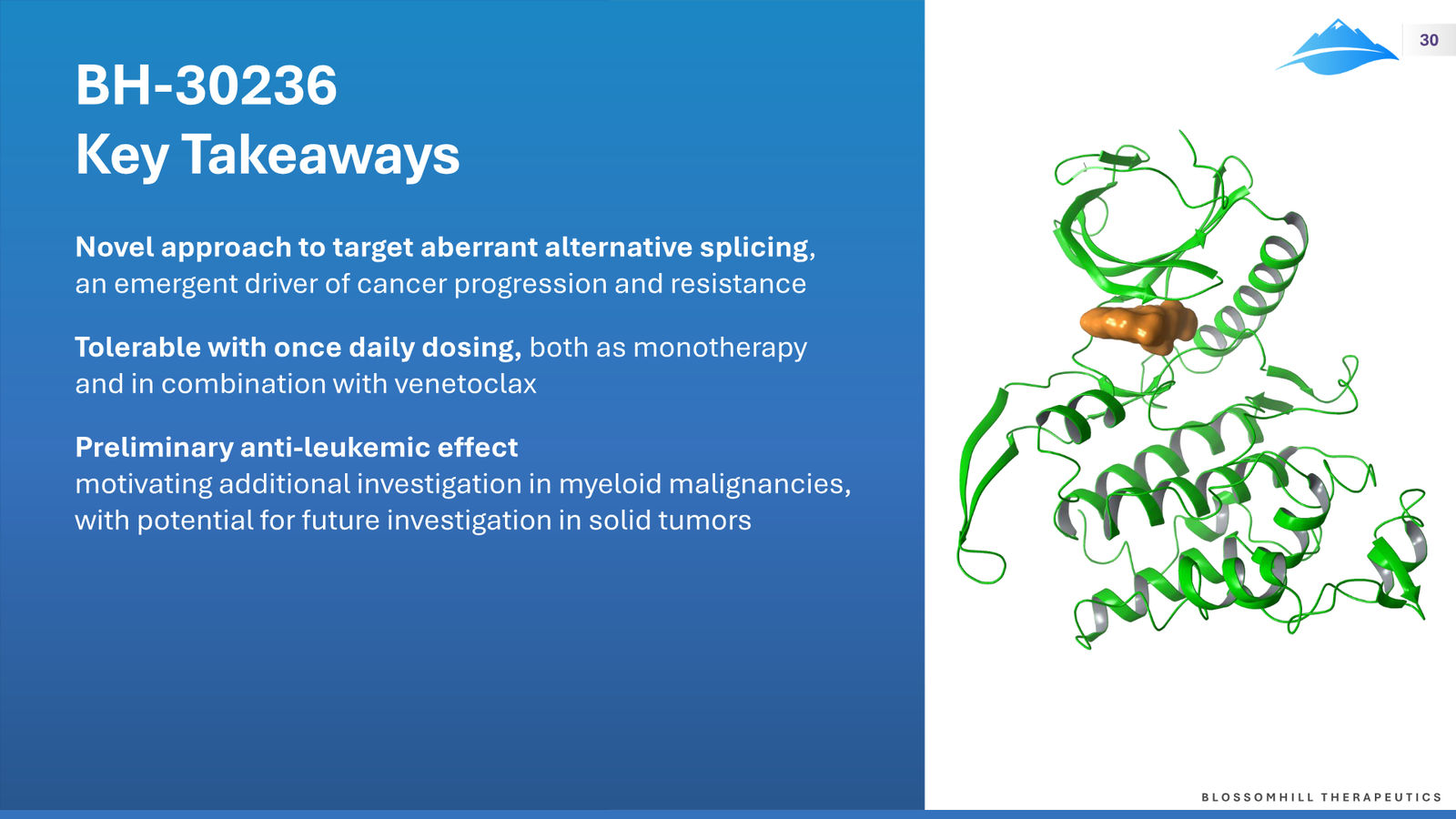 BlossomHill Corporate Presentation — slide 30 of 37