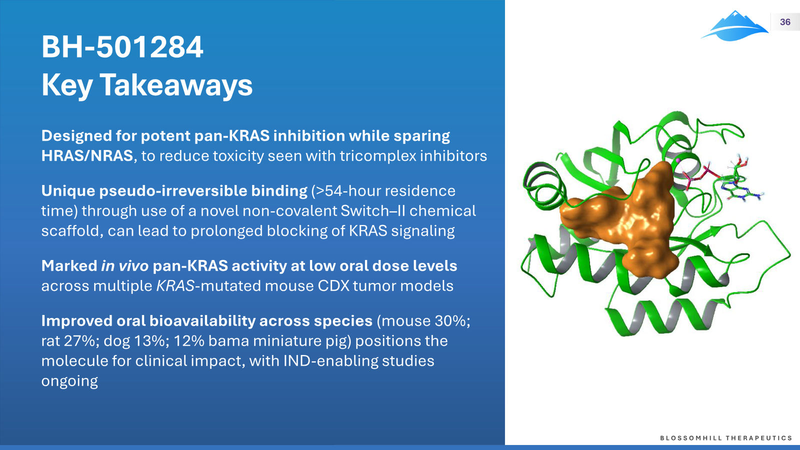 BlossomHill Corporate Presentation — slide 36 of 37