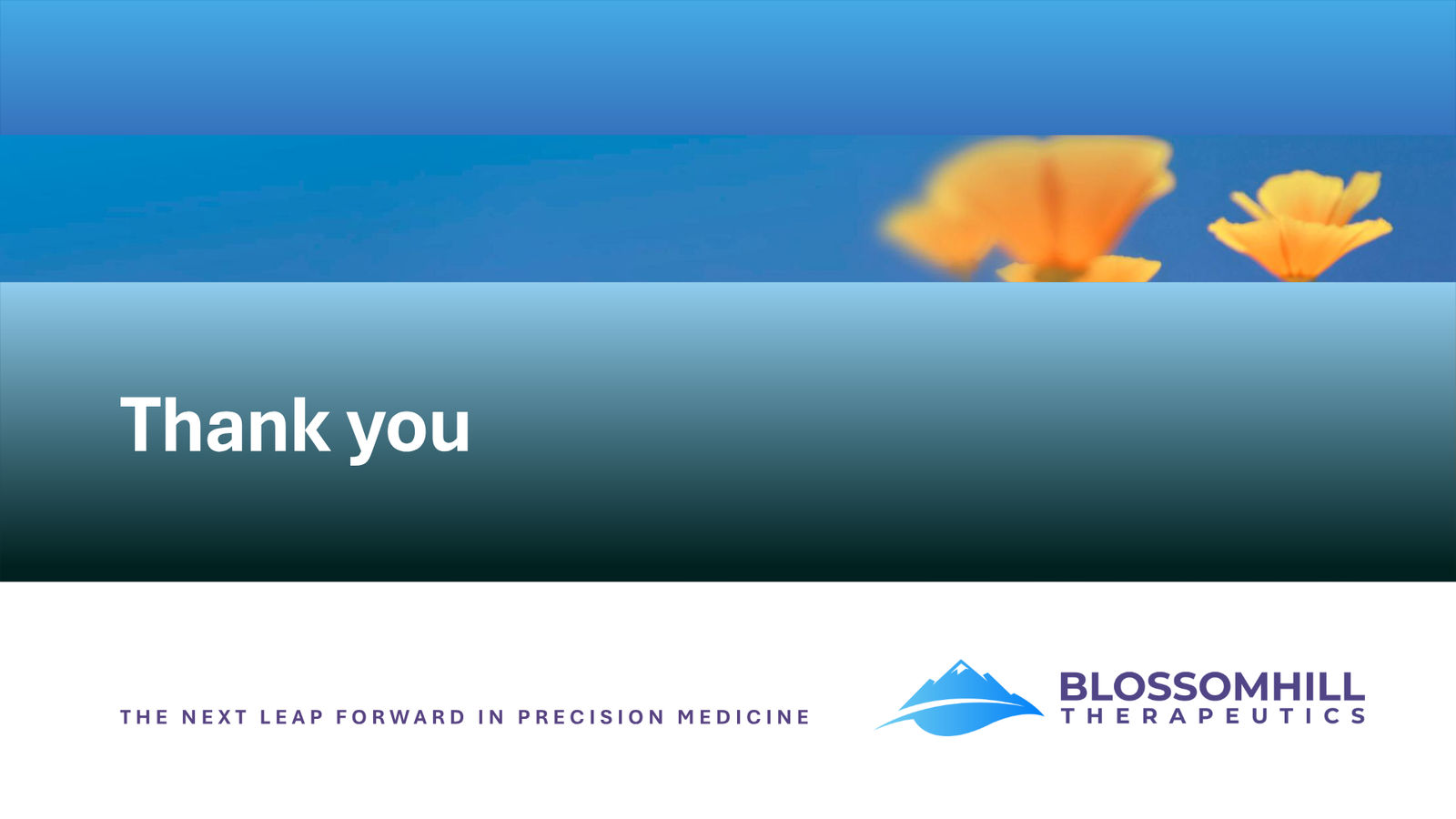BlossomHill Corporate Presentation — slide 37 of 37