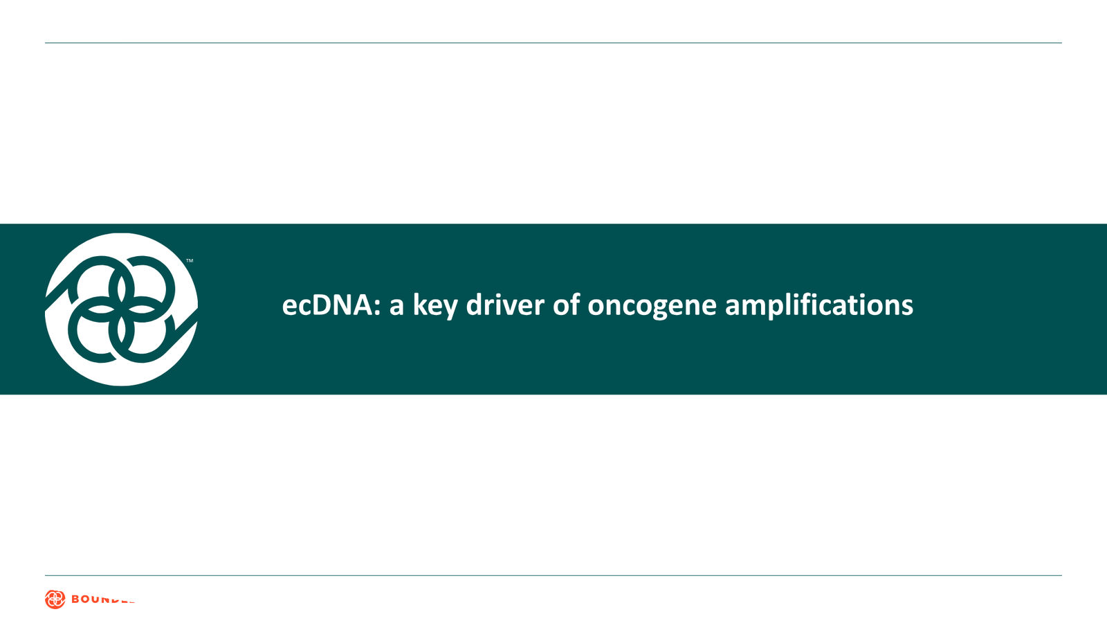 Corporate Presentation March 2026 — slide 11 of 42