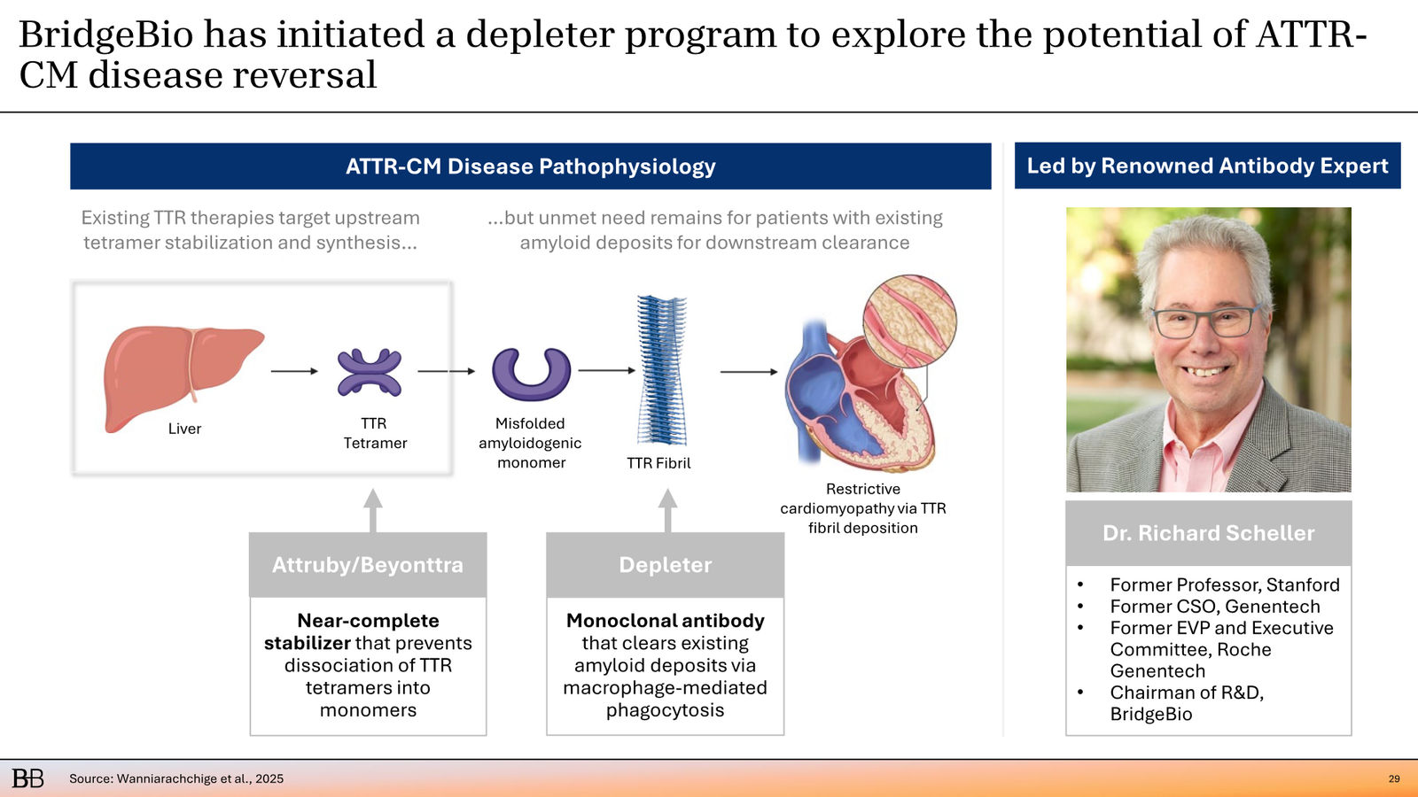 BridgeBio Corporate Presentation February 2026 — slide 30 of 92