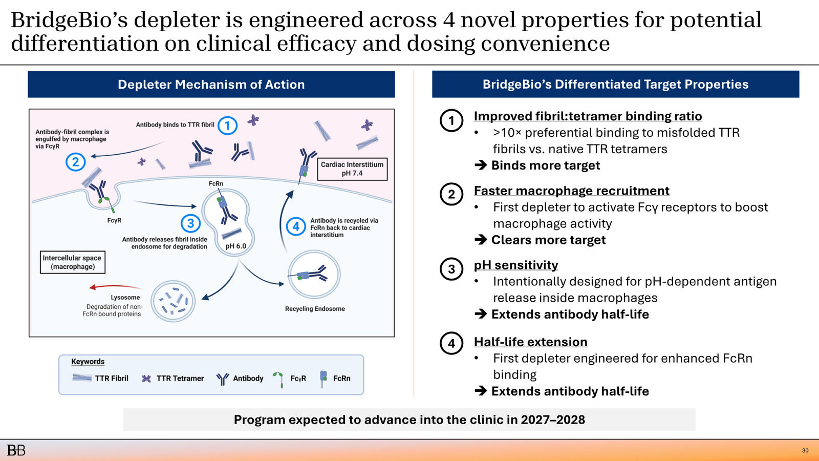 BridgeBio Corporate Presentation February 2026 — slide 31 of 92