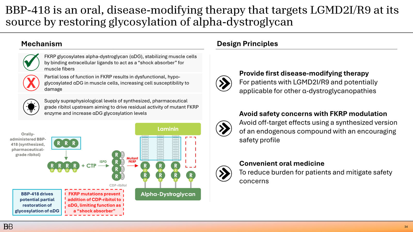 BridgeBio Corporate Presentation February 2026 — slide 35 of 92